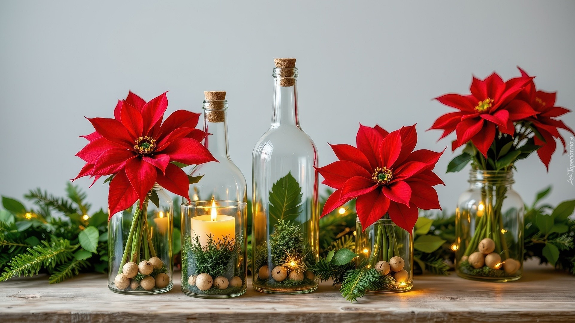 Kwiaty, Gwiazda betlejemska, Butelki, Słoiki, Świeca, Zielone, Rośliny, Kompozycja