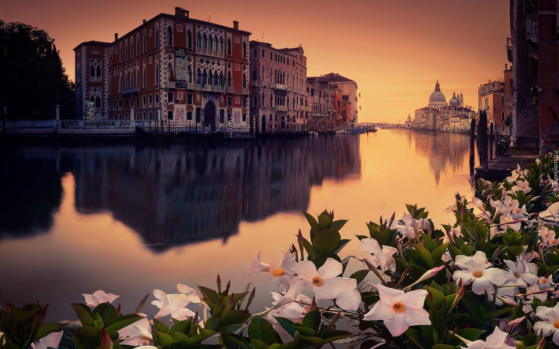 Włochy, Wenecja, Kanał, Domy, Kwiaty