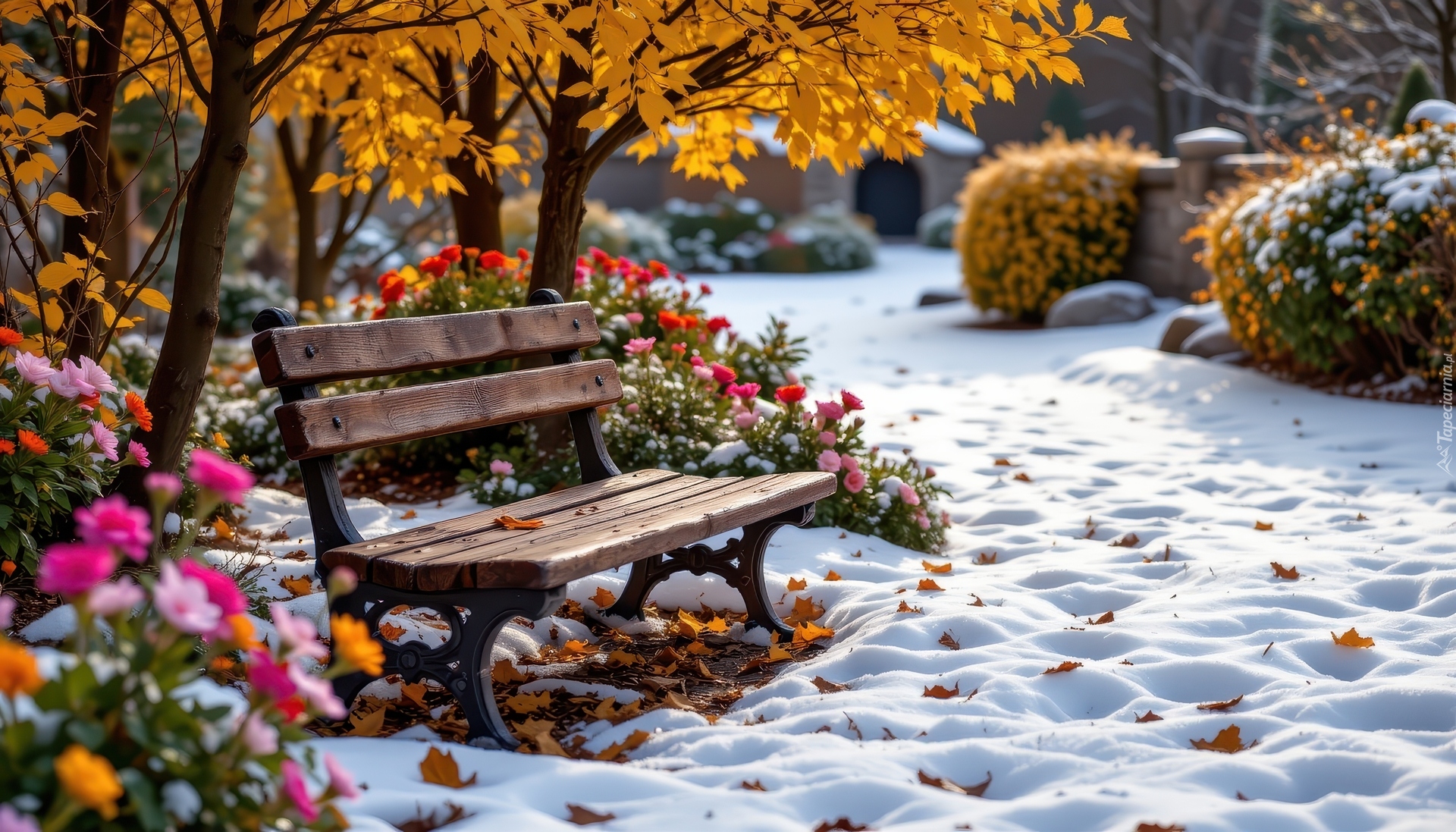 Ławka, Kwiaty, Drzewa, Krzewy, Pożółkłe, Liście, Śnieg, Park