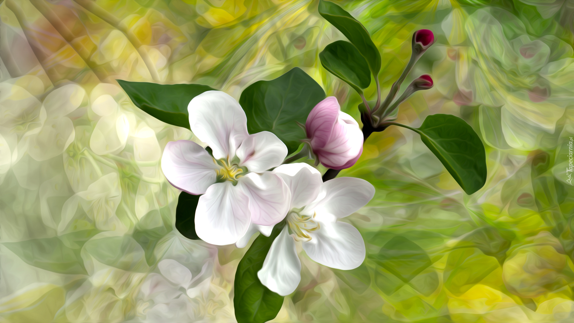 Gałązka, Kwiaty, Drzewo owocowe, Grafika 2D
