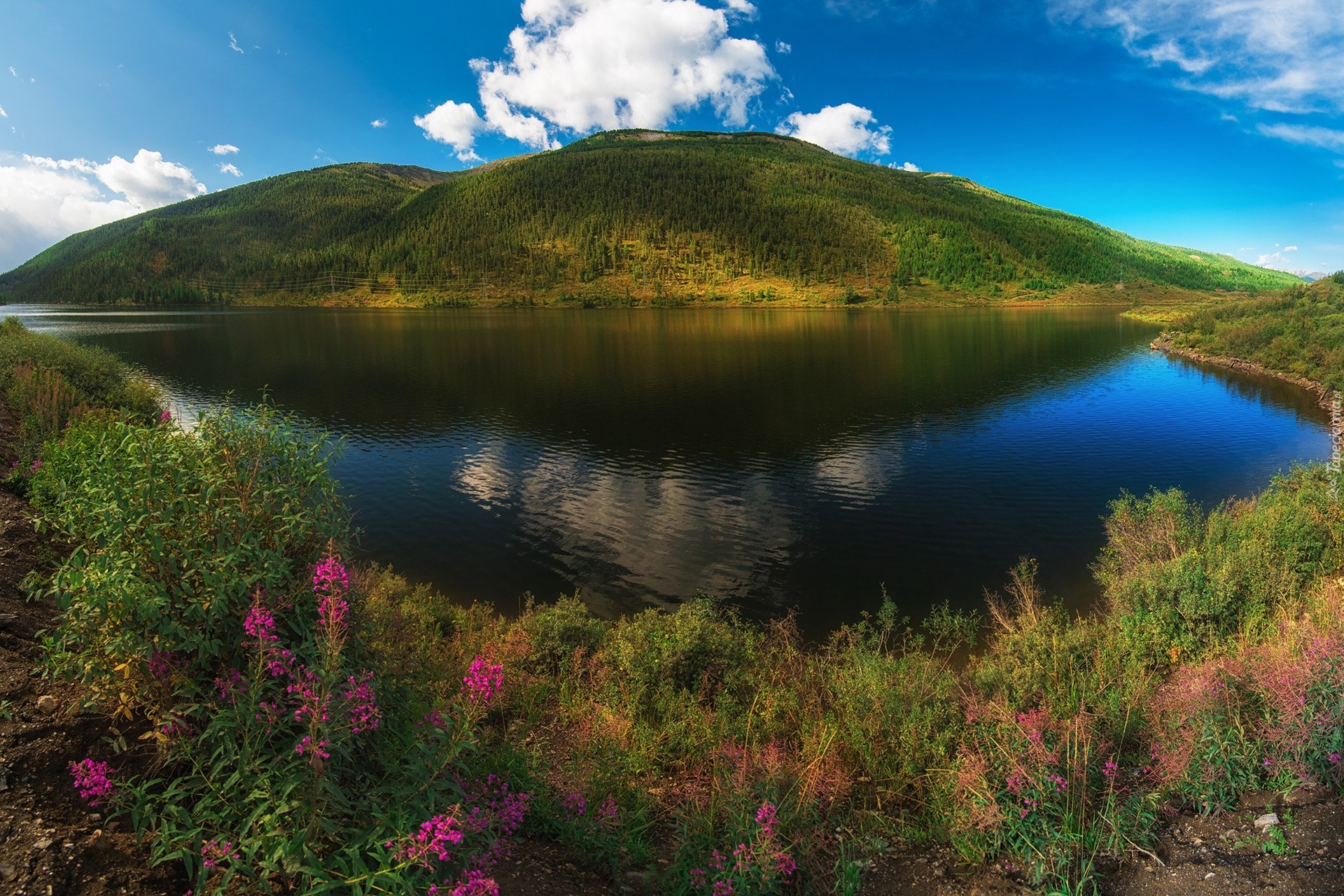 Jezioro, Zalesiona, Góra