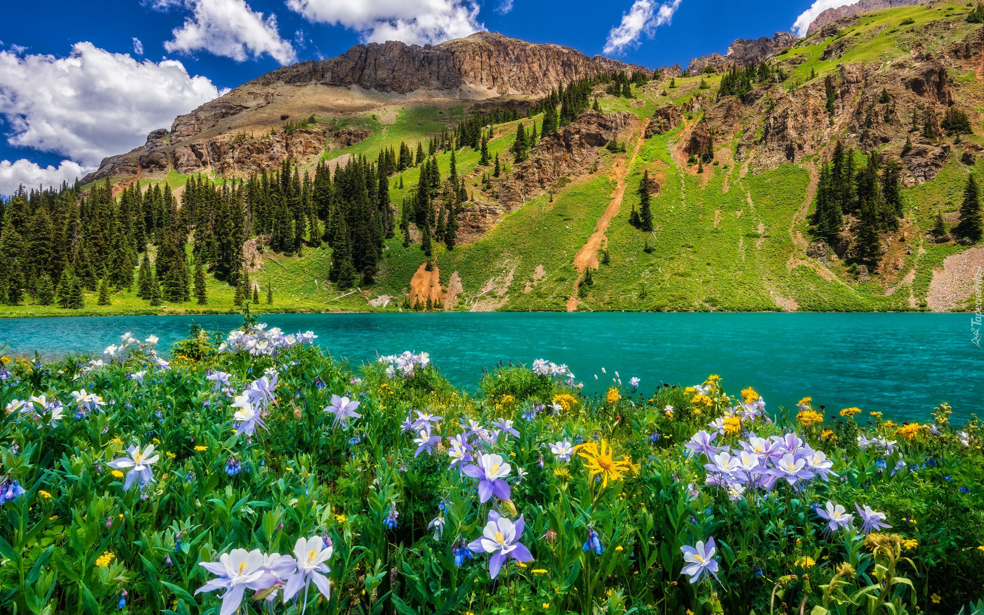 Stany Zjednoczone, Kolorado, San Juan Mountains, Sneffels Range, Blue Lake, Góry, Jezioro, Kwiaty, Łąka, Drzewa, Niebo, Lato