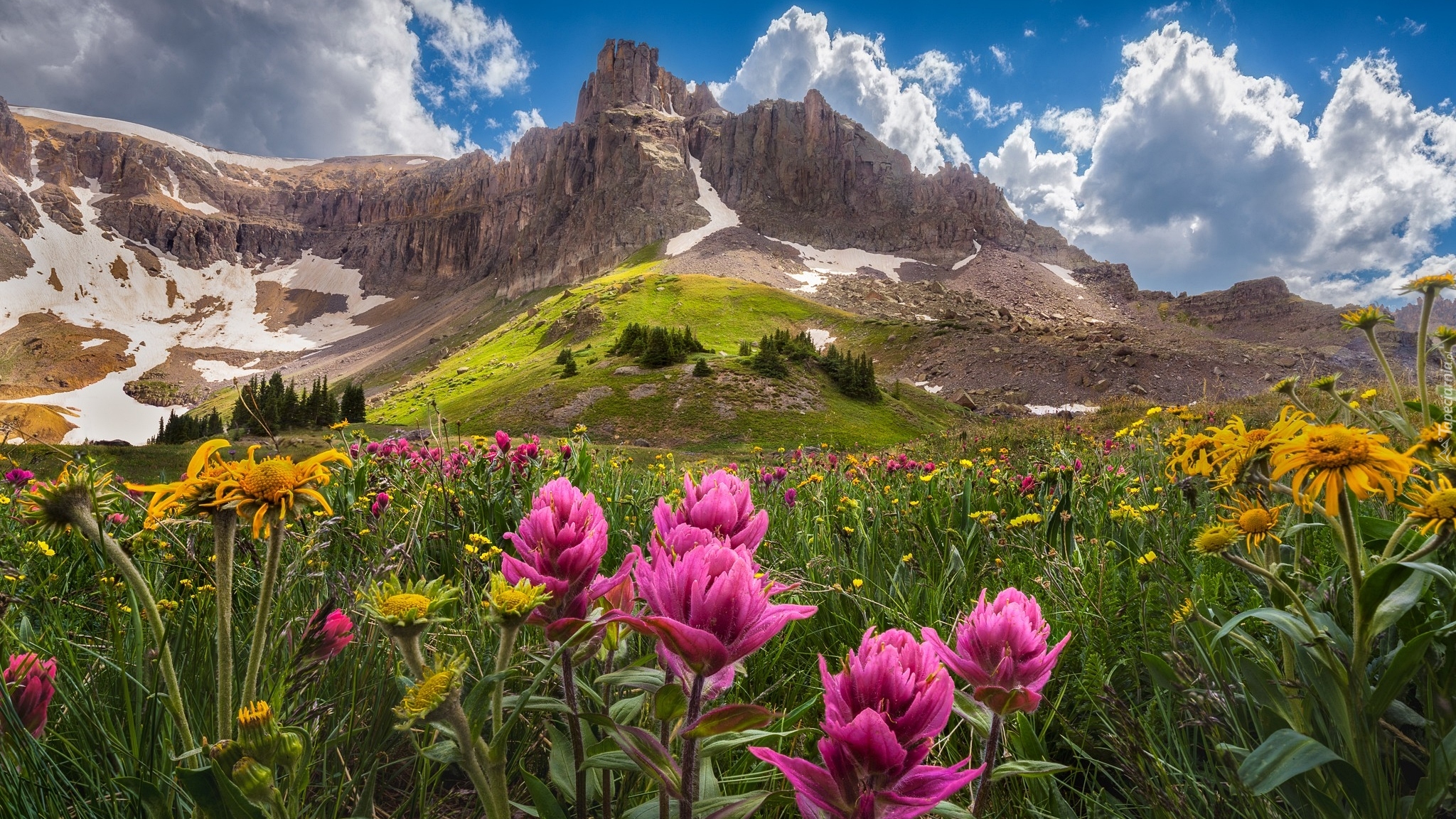 Góry, San Juan Mountains, Łąka, Kolorado, Stany Zjednoczone