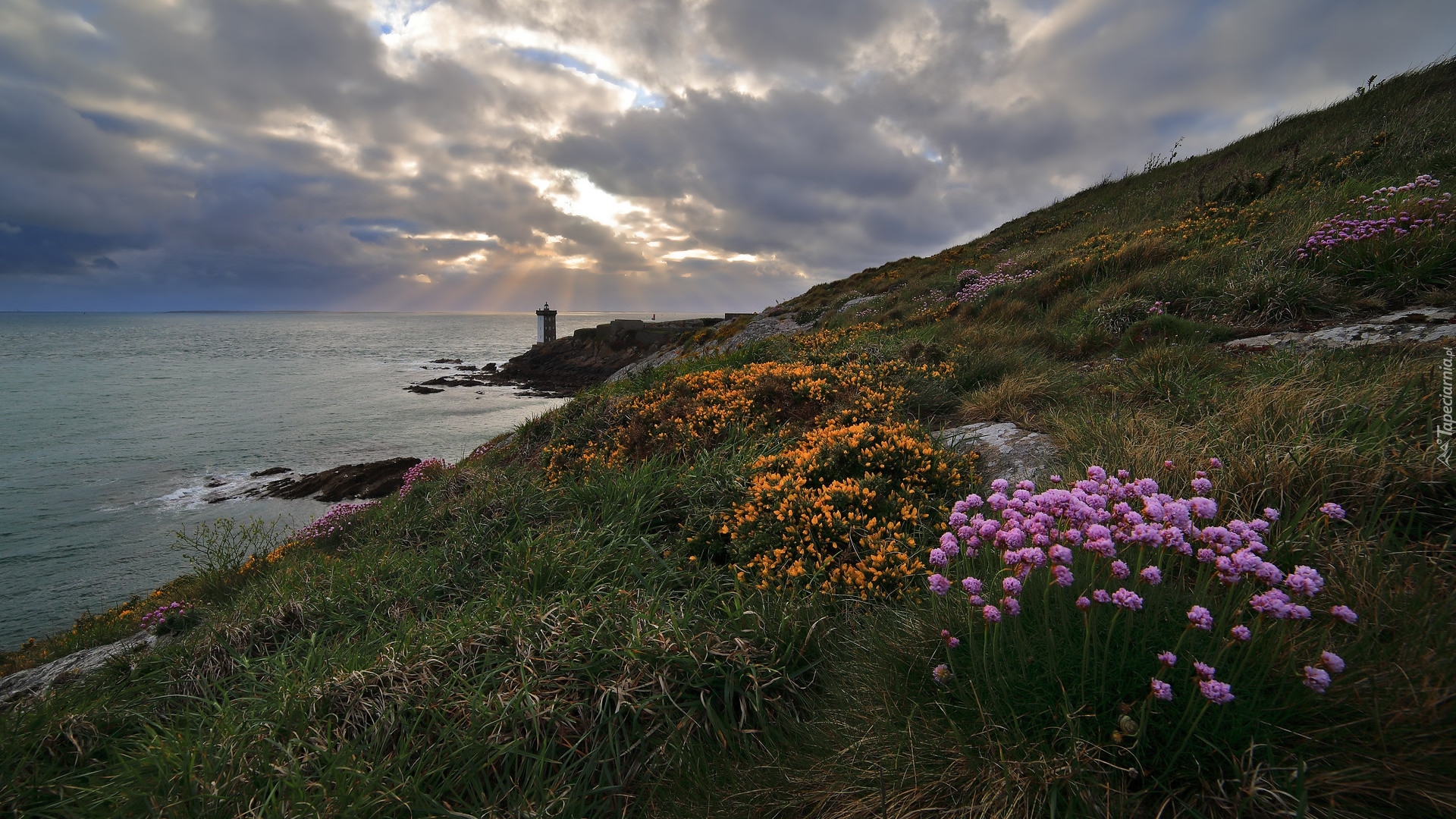 Francja, Gmina Conquet, Morze, Wzgórze, Skały, Latarnia morska, Kermorvan lighthouse, Wybrzeże, Kwiaty