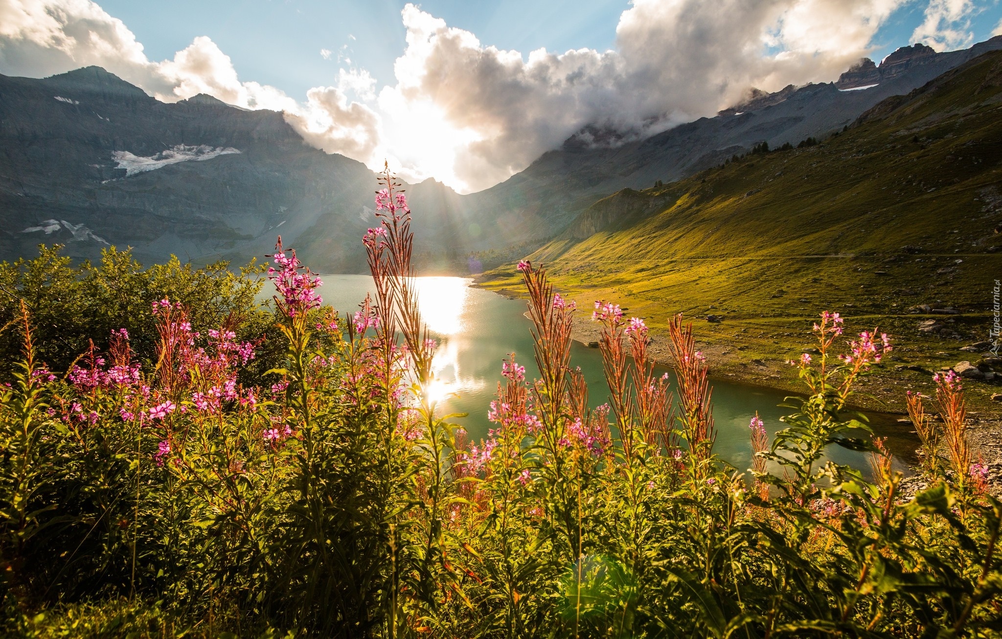 Szwajcaria, Wschód słońca, Góry Alpy, Kwiaty, Jezioro Lac de Salanfe