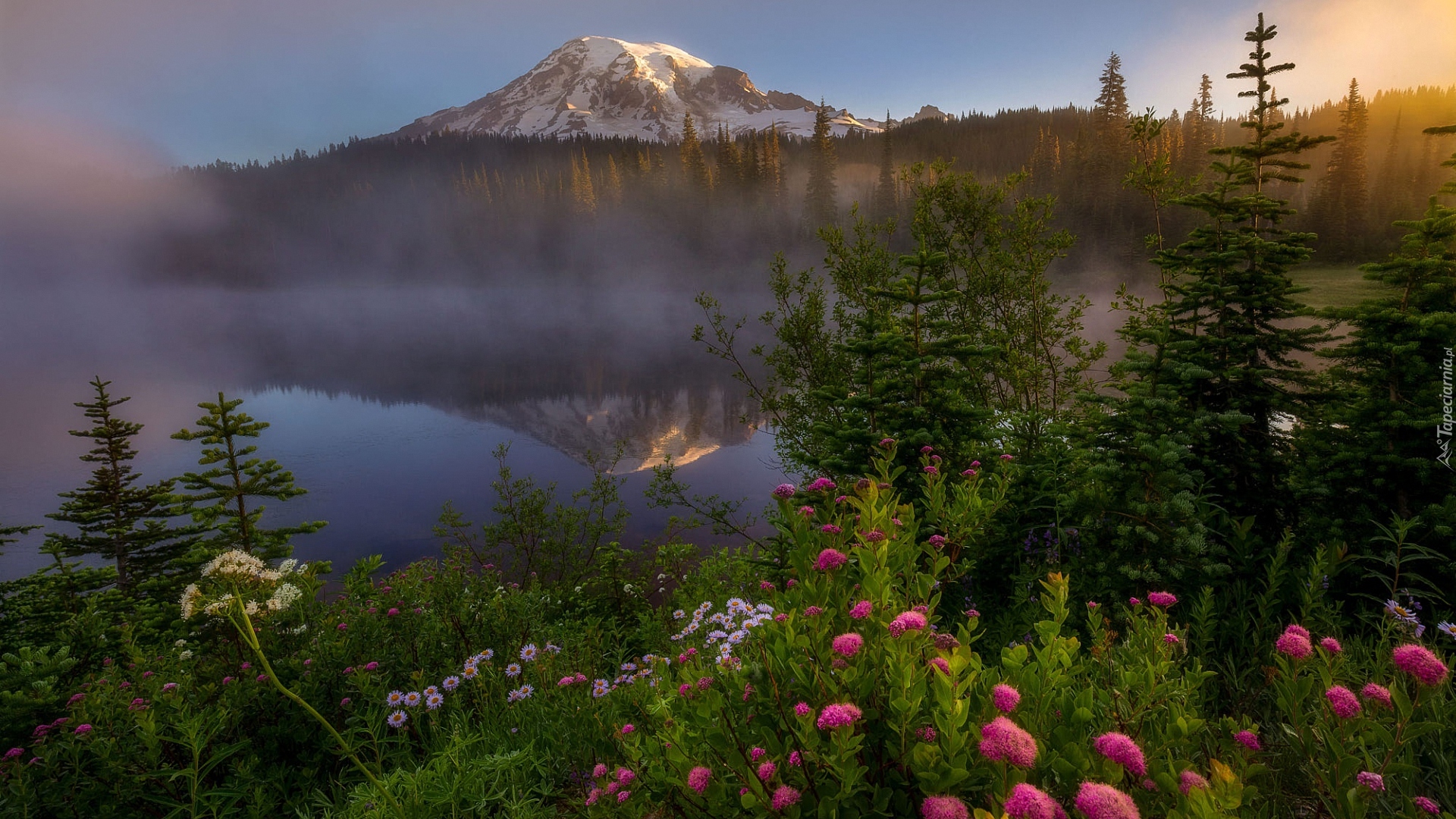 Park Narodowy Mount Rainier, Jezioro Reflection Lake, Góra, Szczyt Mount Rainier, Mgła, Drzewa, Kwiaty, Stan Waszyngton, Stany Zjednoczone