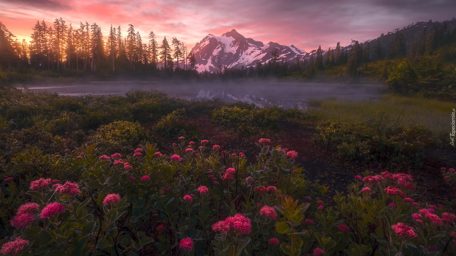 Góry, Góra, Mount Shuksan, Drzewa, Mgła, Jezioro, Picture Lake, Odbicie, Park Narodowy Północnych Gór Kaskadowych, Stan Waszyngton, Stany Zjednoczone