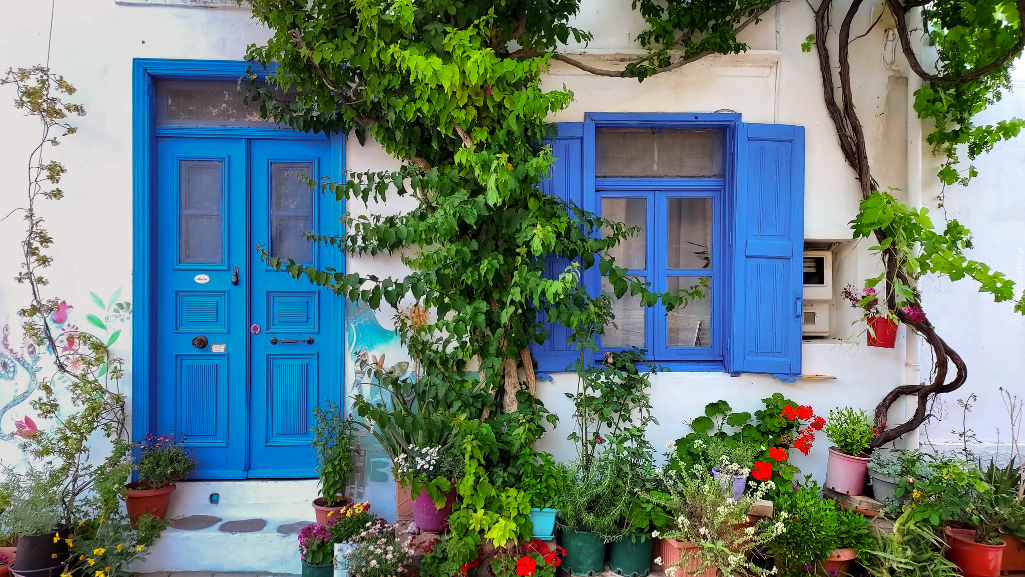 Dom, Kwiaty, Rośliny, Niebieskie, Okna, Drzwi