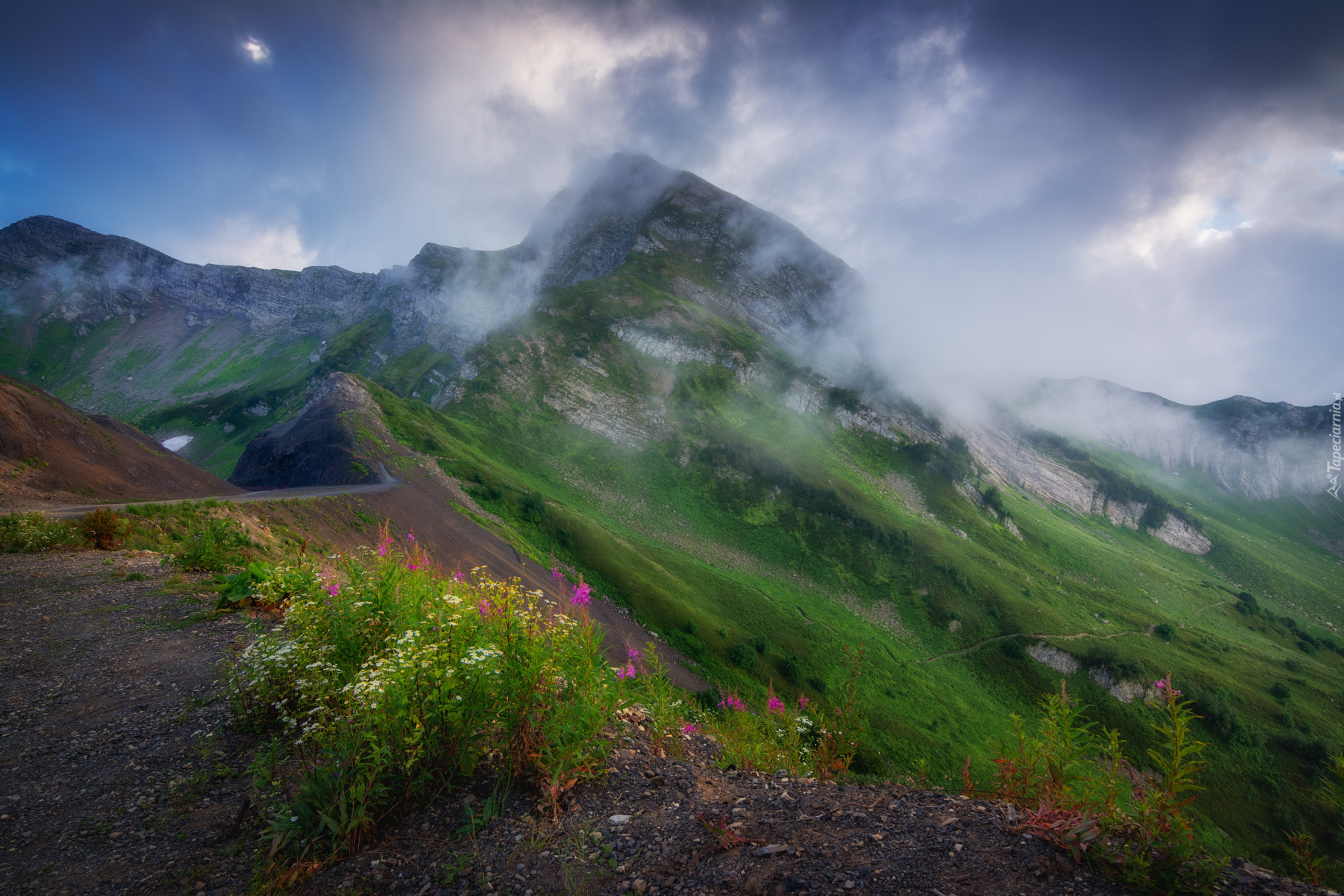 Góry, Aibga Ridge, Kaukaz, Chmury, Droga, Kwiaty, Zbocze, Kraj Krasnodarski, Rosja