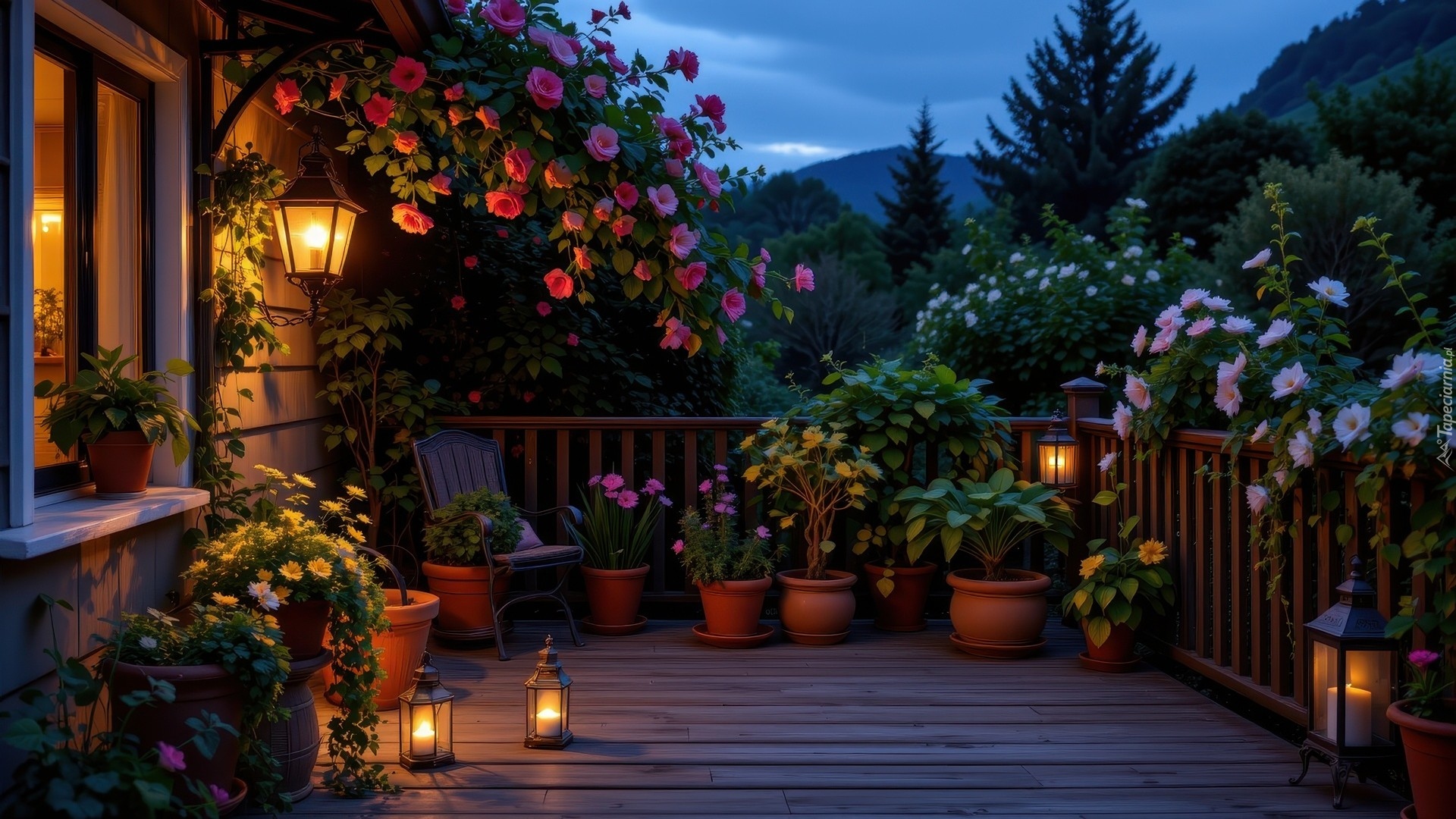 Dom, Taras, Lampiony, Kolorowe, Kwiaty