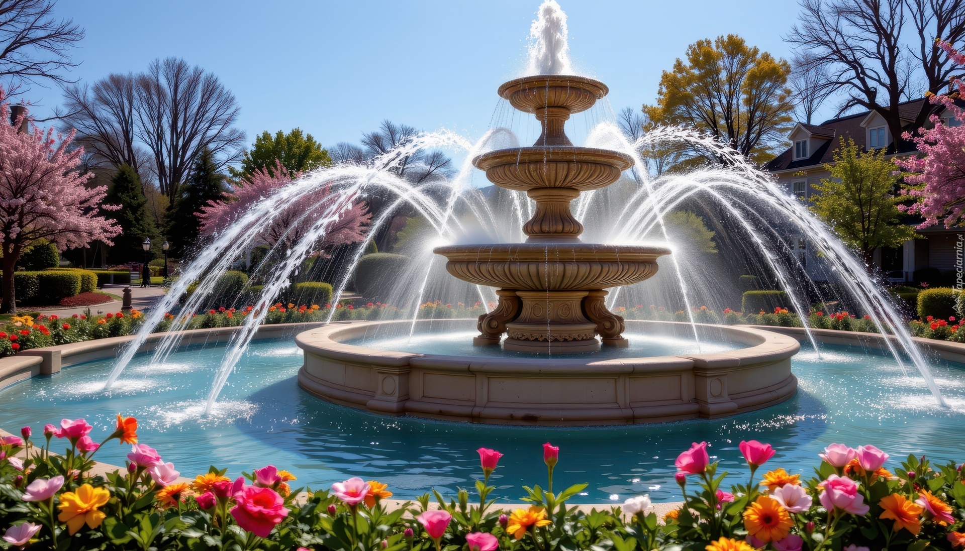 Fontanna, Kwiaty, Park, Wiosna, Grafika AI