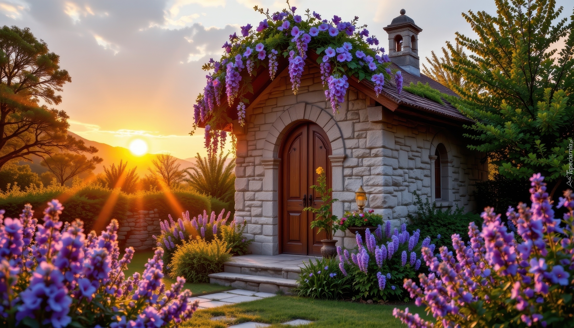 Kamienna, Budowla, Dom, Kwiaty, Glicynia, Lawenda, Promienie słońca