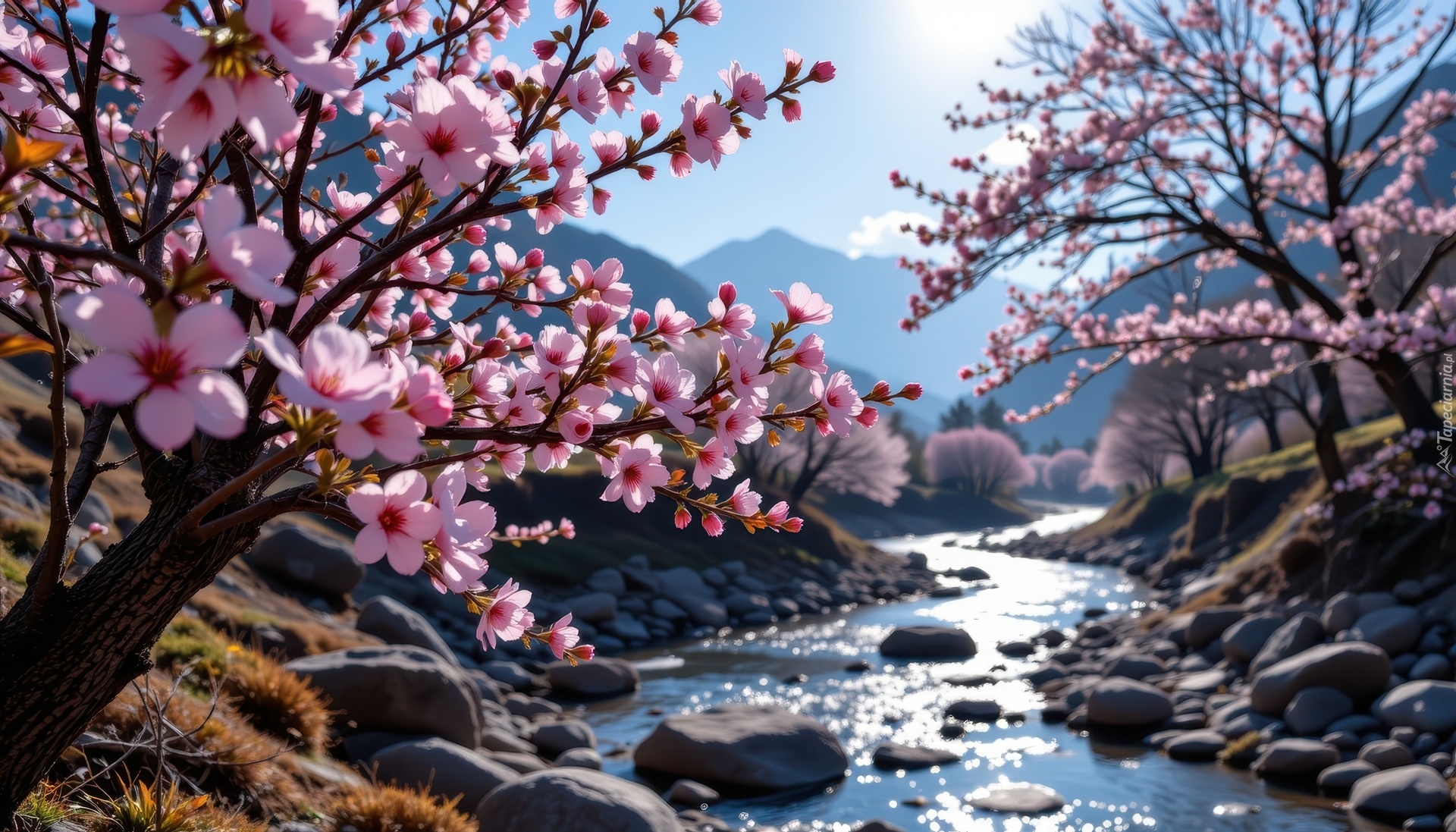 Wiosna, Kwitnące, Drzewa, Strumyk, Niebo, Grafika AI`
