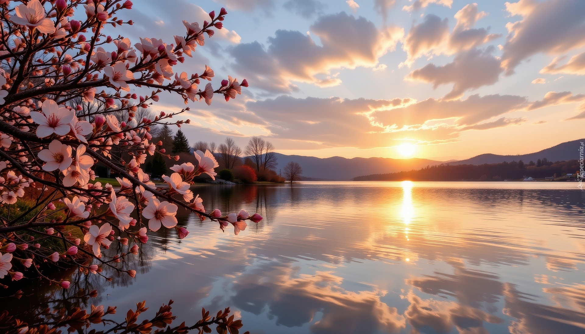 Kwitnące, Gałęzie, Różowe, Kwiaty, Jezioro, Zachód słońca, Grafika AI