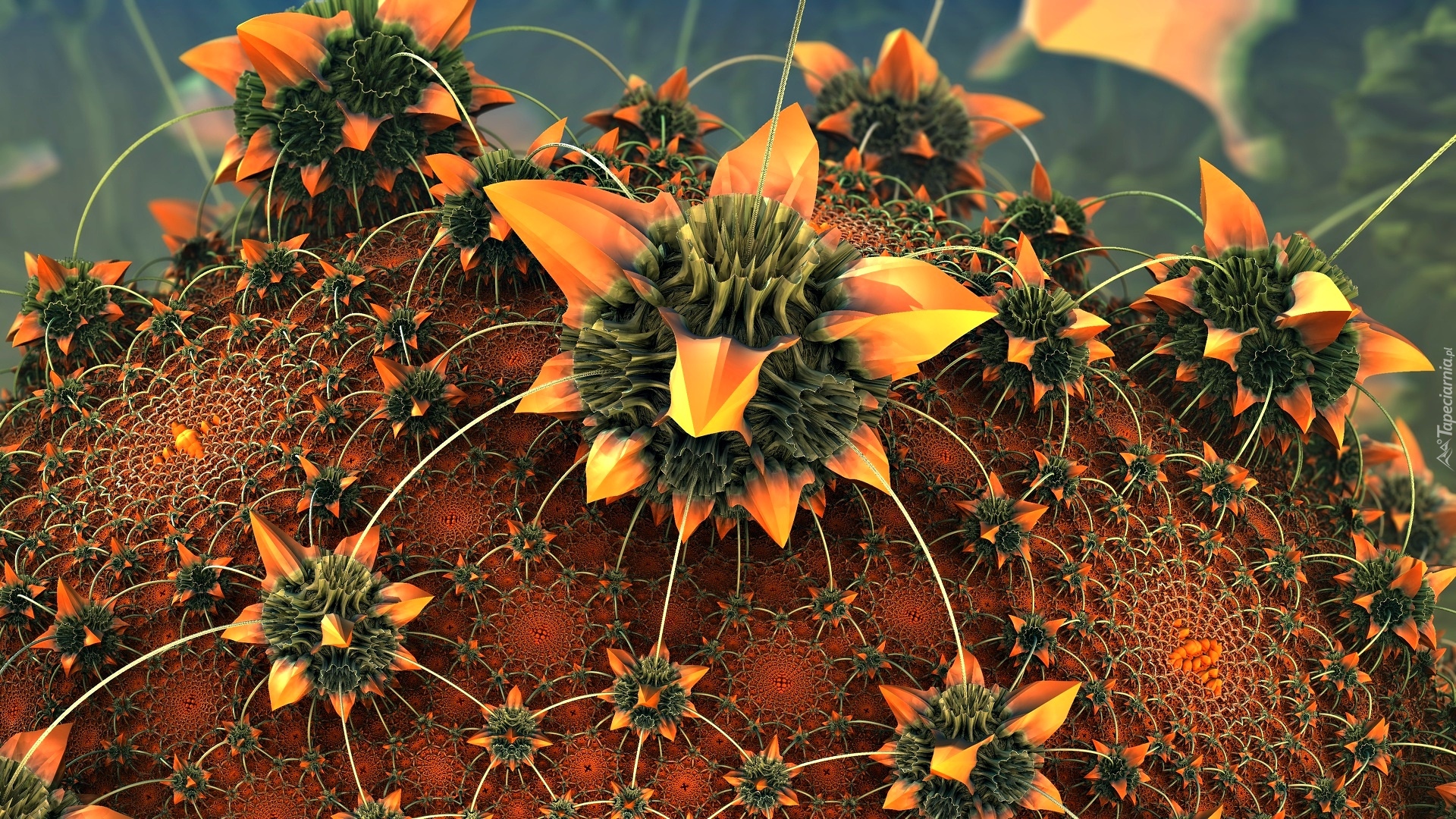 Kwiat, Kaktus, 3D