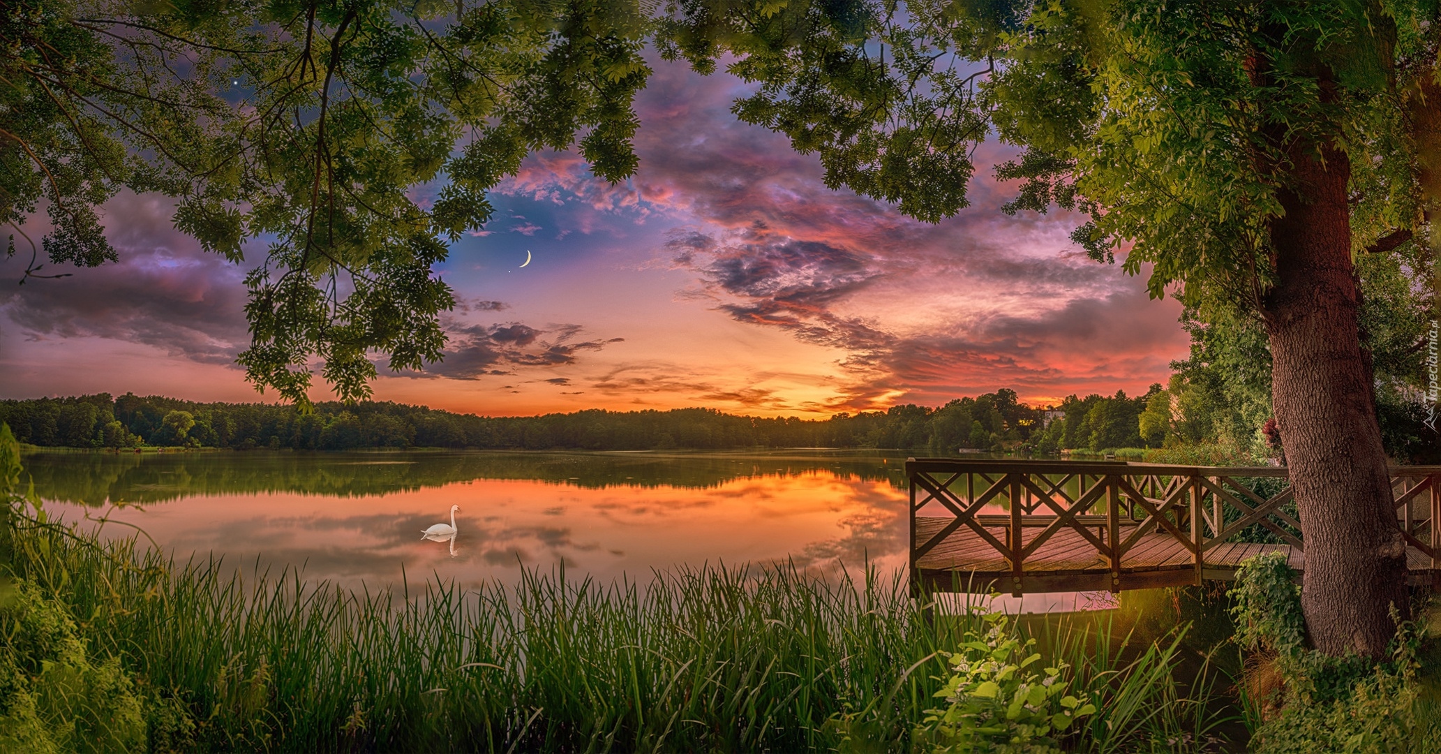 Jezioro, Łabędź, Drzewa, Pomost, Zachód słońca, Chmury