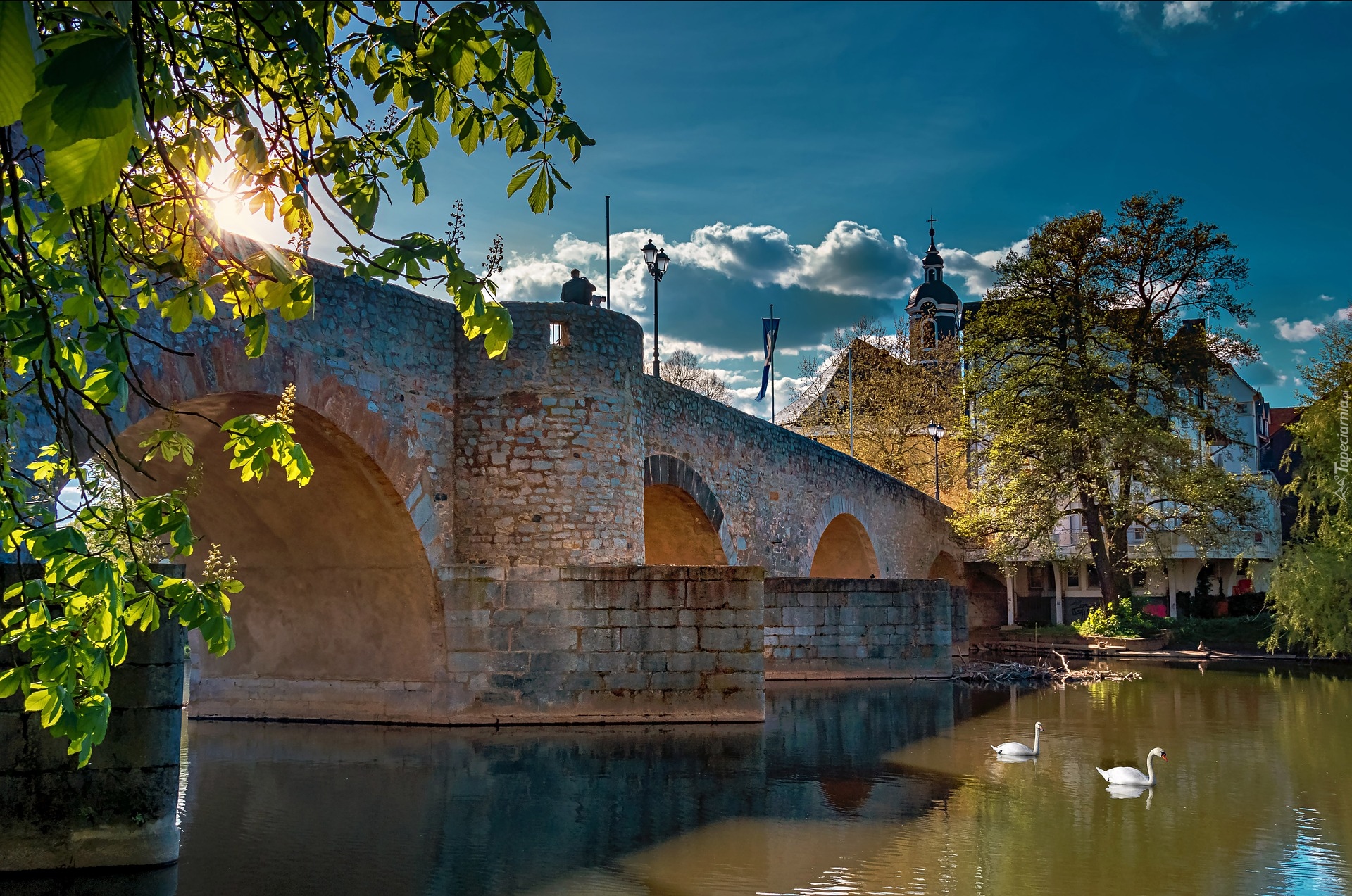 Most, Rzeka, Kościół, Dom, Drzewa, Łabędzie, Promienie słońca