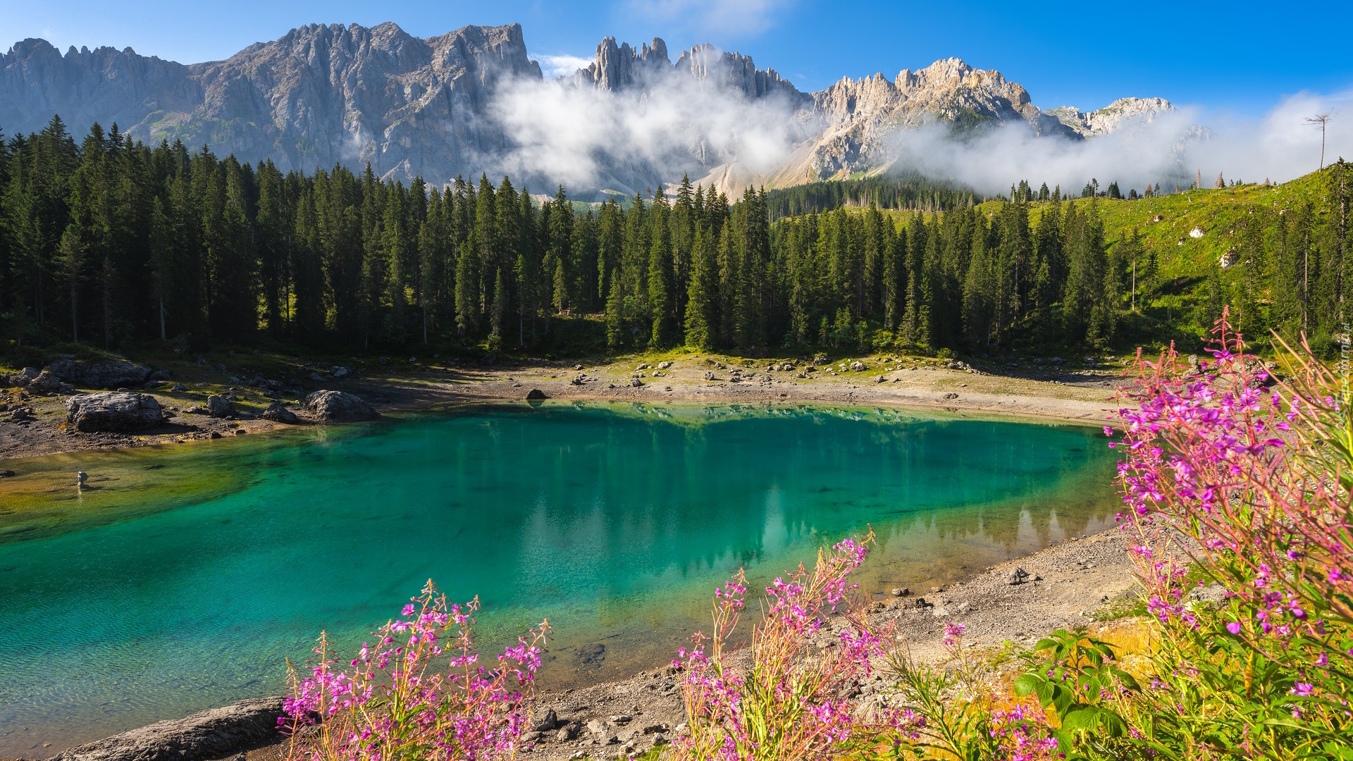 Jezioro Karersee, Lago di Carezza, Las, Drzewa, Roślinność, Kwiaty, Tyrol, Włochy