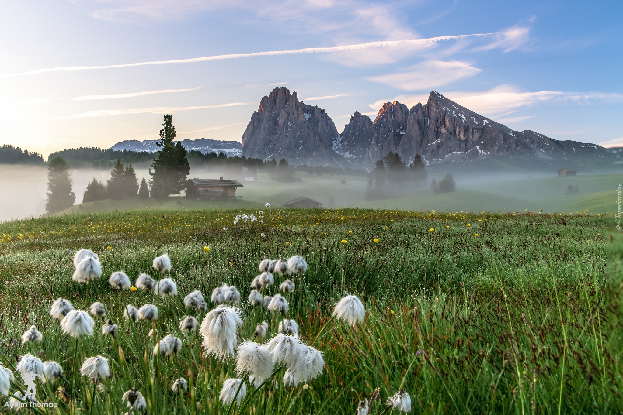 Łąka, Kwiaty, Domy, Mgła, Płaskowyż Seiser Alm, Dolina Val Gardena, Góry Sassolungo, Dolomity, Włochy
