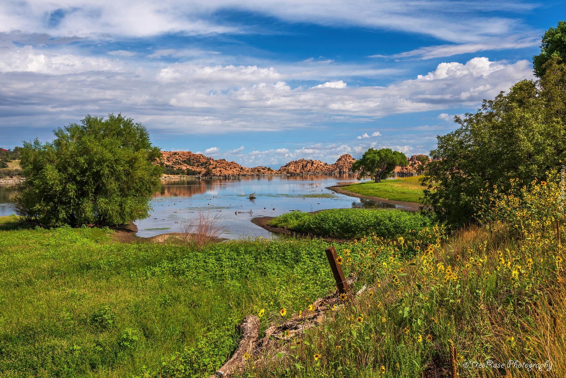 Jezioro, Watson Lake, Chmury, Skały, Drzewa, Łąka, Arizona, Stany Zjednoczone