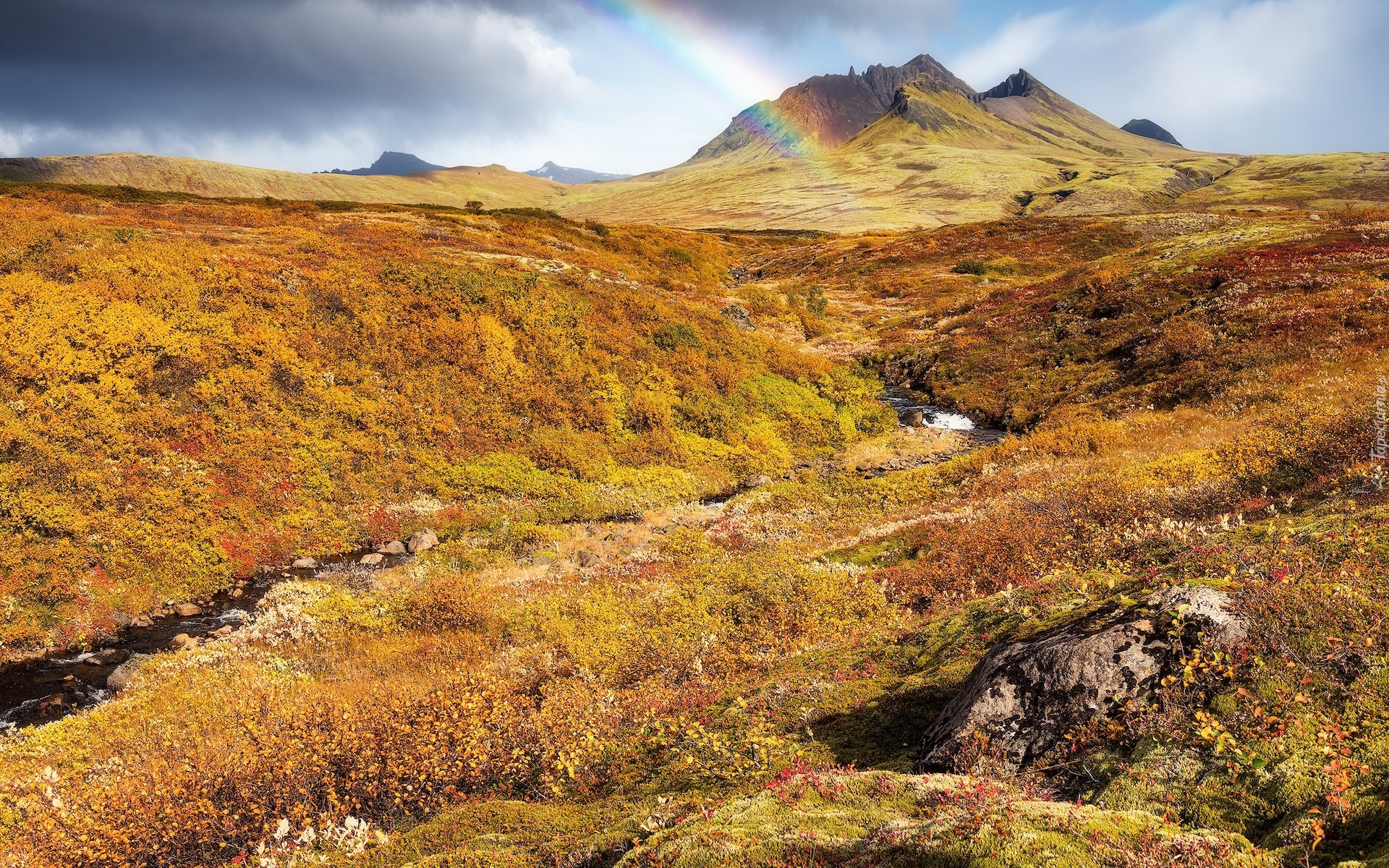 Islandia, Wzgórza, Góra, Jesień, Tęcza, Roślinność, Potok
