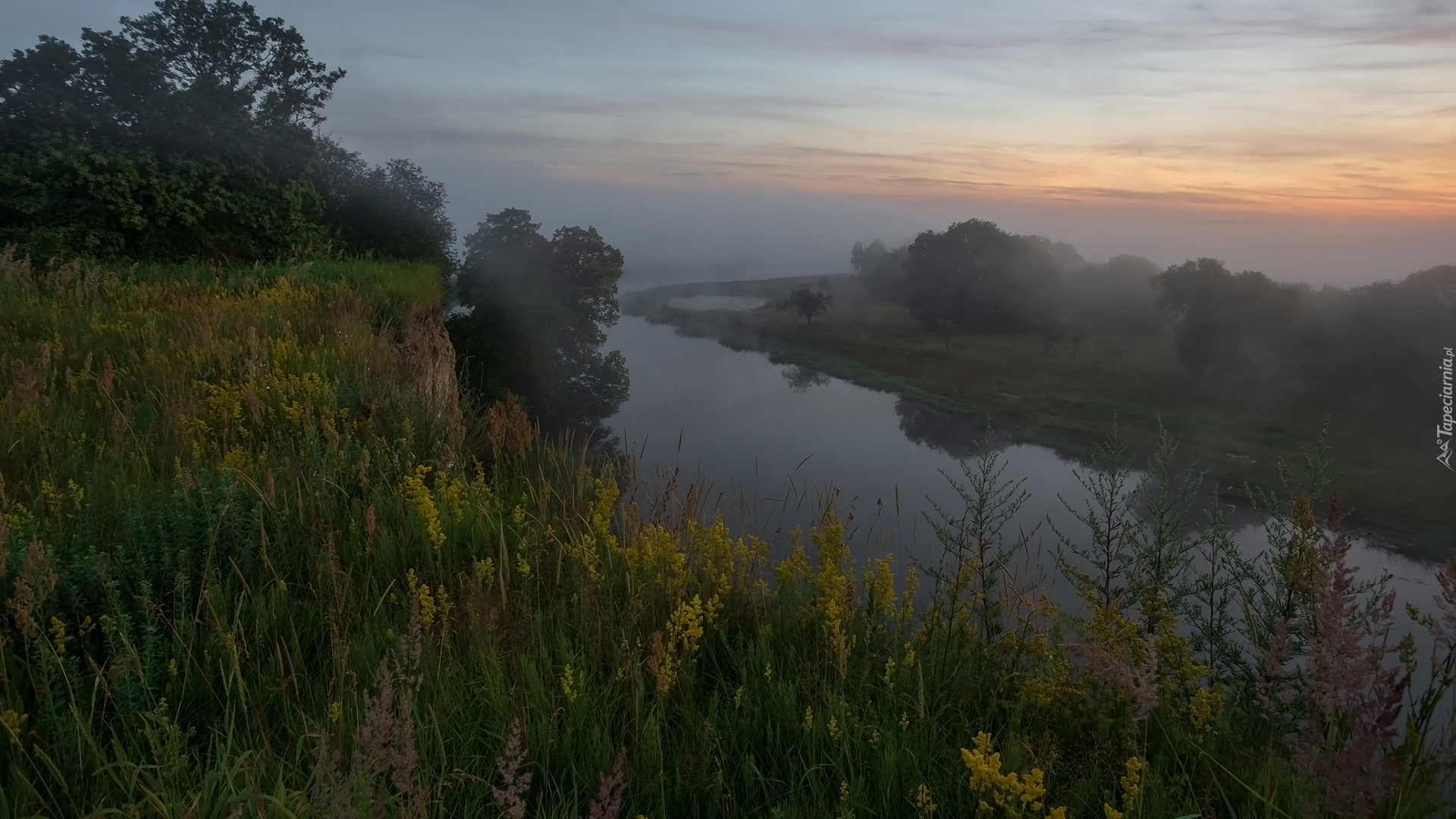 Rzeka, Skarpa, Drzewa, Trawa, Mgła