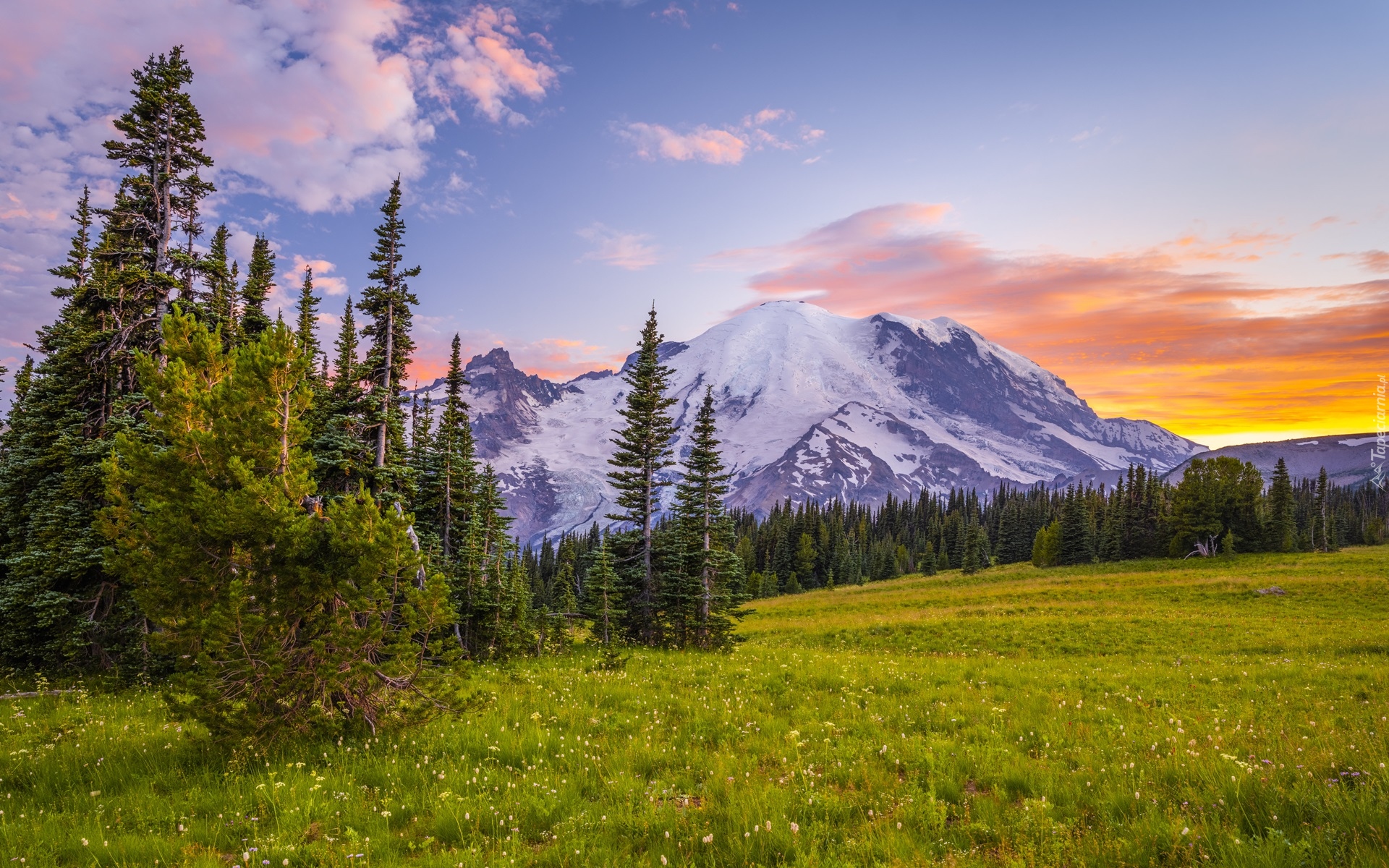 Park Narodowy Mount Rainier, Drzewa, Łąka, Chmury, Góra, Szczyt Mount Rainier, Stan Waszyngton, Stany Zjednoczone