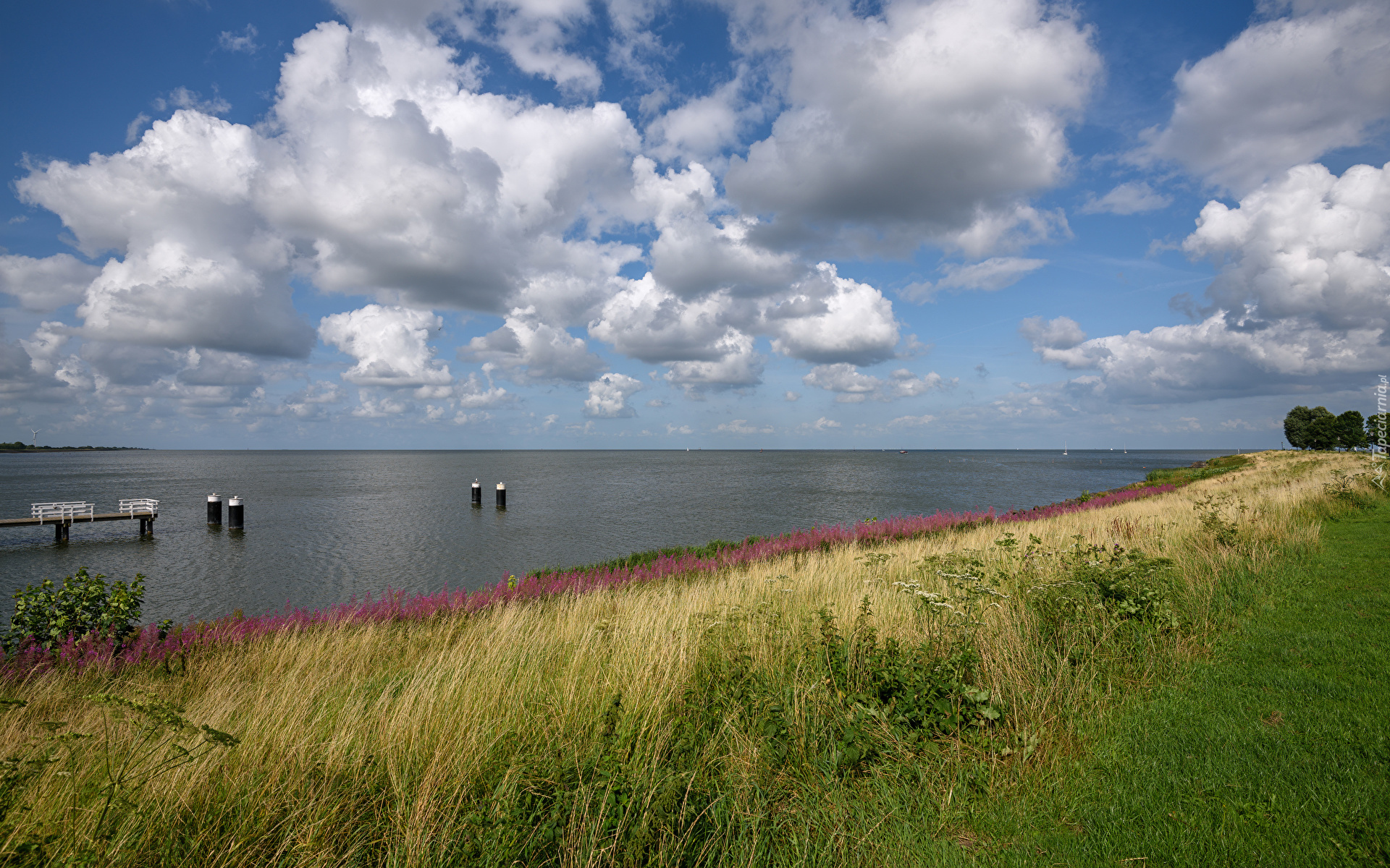 Jezioro, Niebo, Chmury, Trawa, Łąka