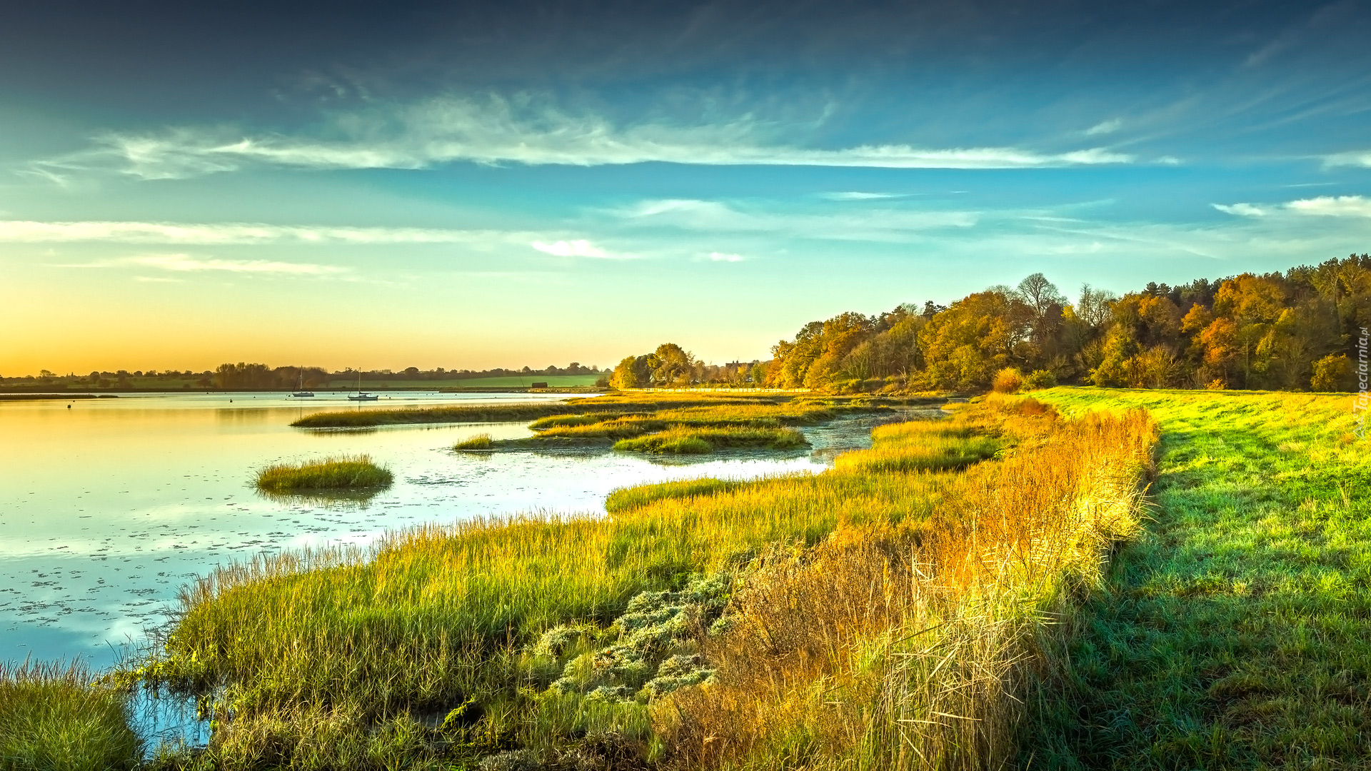 Łąka, Trawa, Las, Drzewa, Rzeka, River Deben, Kyson Hill, Hrabstwo Suffolk, Anglia