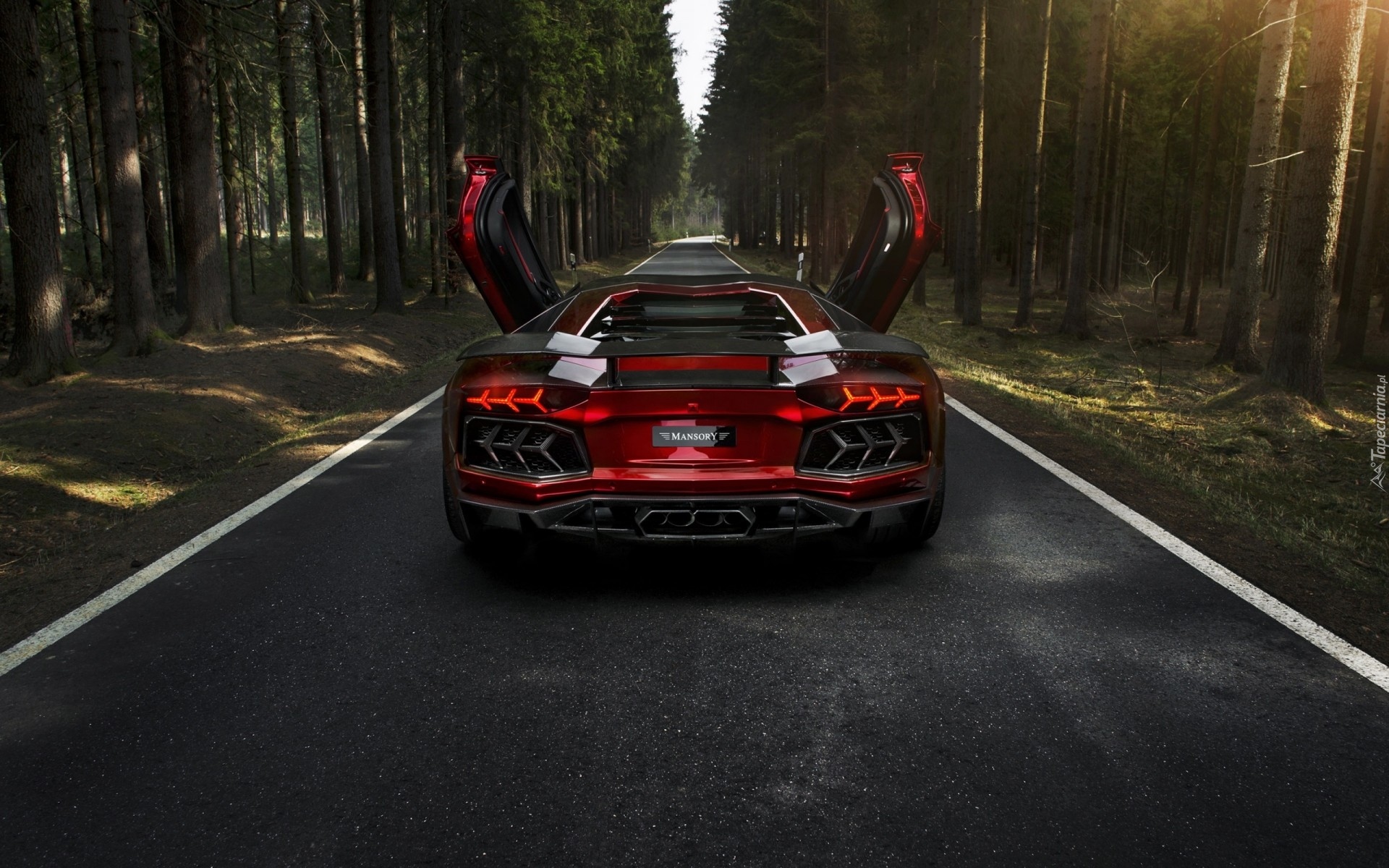 Lamborghini Aventador LP700-4 Mansory, 2012