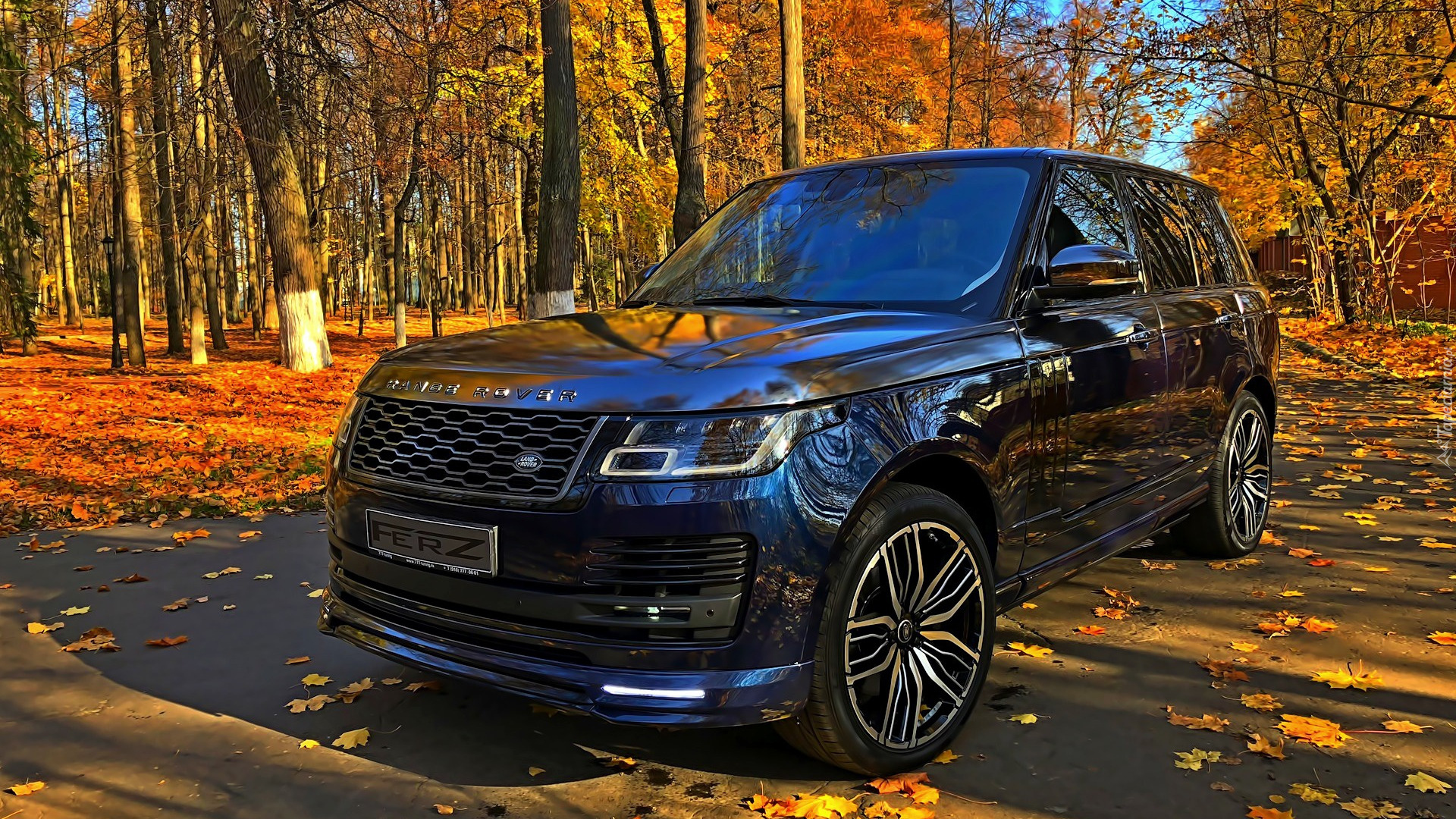 Land Rover Range Rover, SUV, Jesień