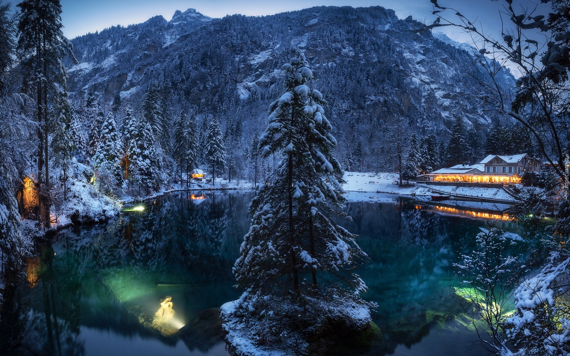 Zima, Góry, Las, Drzewa, Domy, Światła, Jezioro Blausee, Szwajcaria