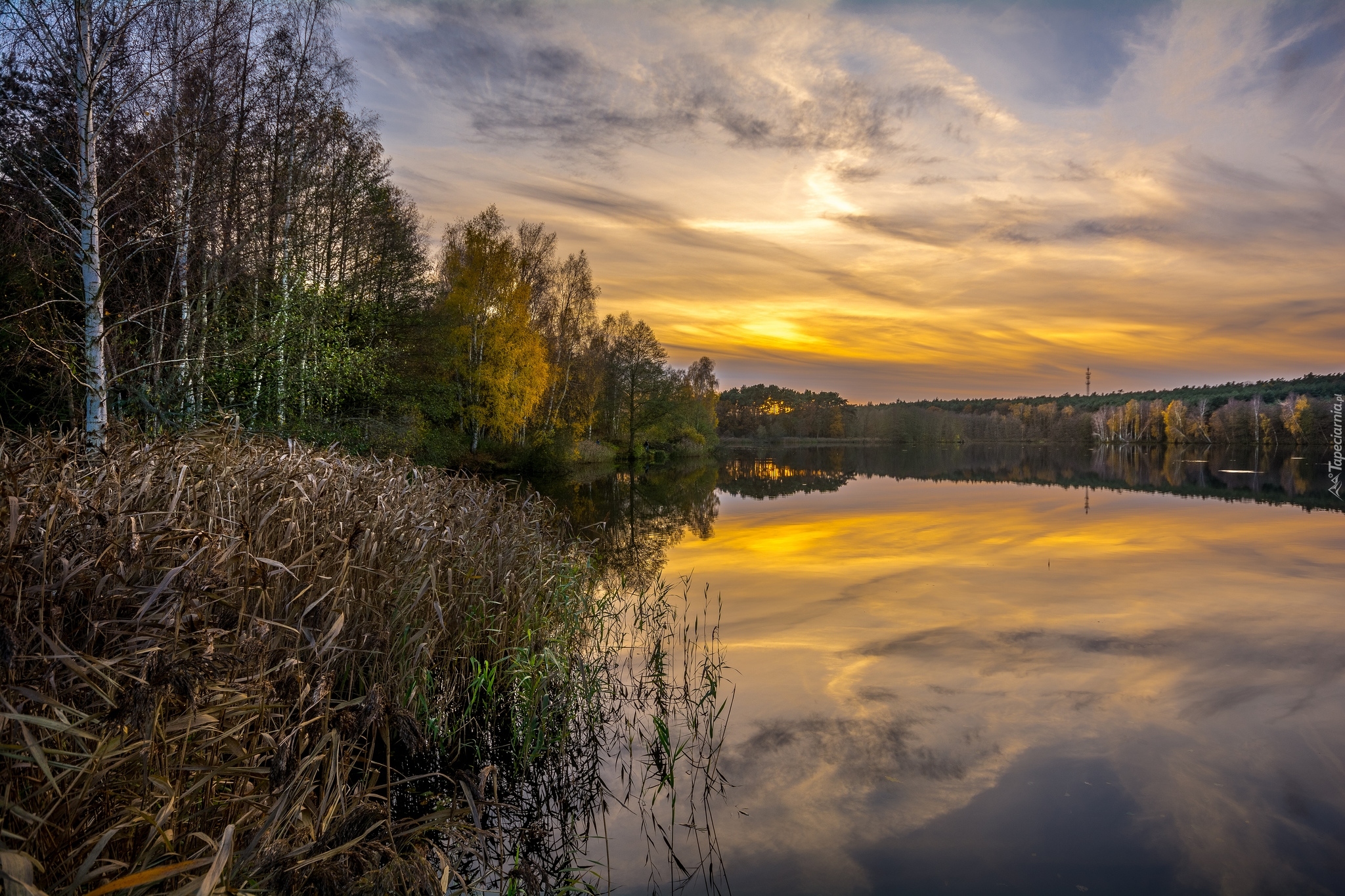 Jezioro, Drzewa, Roślinność, Wschód słońca, Chmury, Odbicie