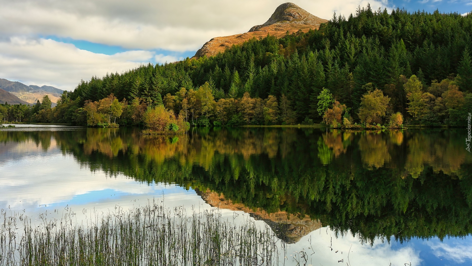 Góry, Góra Pap of Glencoe, Las, Jezioro, Trawa, Odbicie, Szkocja