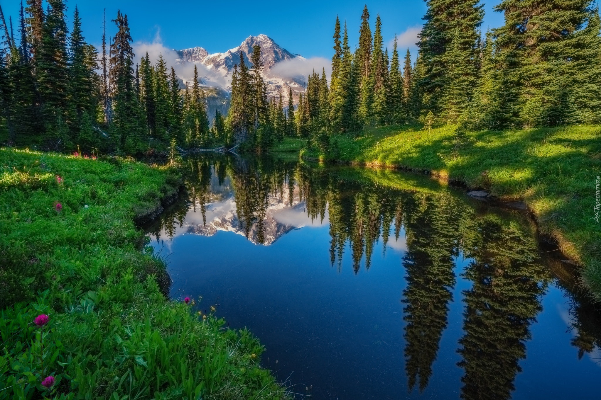 Stany Zjednoczone, Stan Waszyngton, Park Narodowy Mount Rainier, Jezioro  Las, Drzewa, Rzeka, Góry, Odbicie