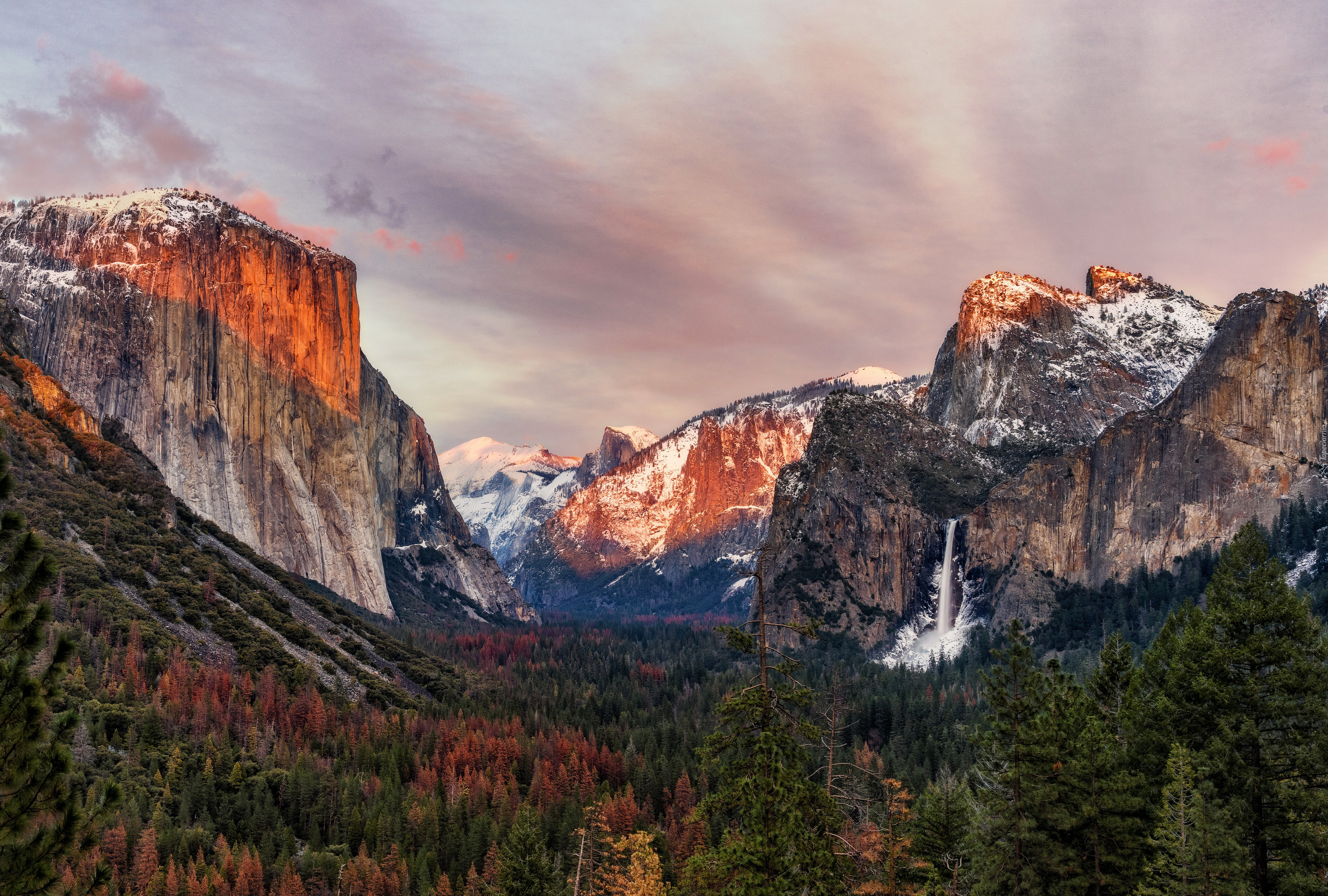 Stany Zjednoczone, Stan Kalifornia, Park Narodowy Yosemite, Góry, Las, Drzewa