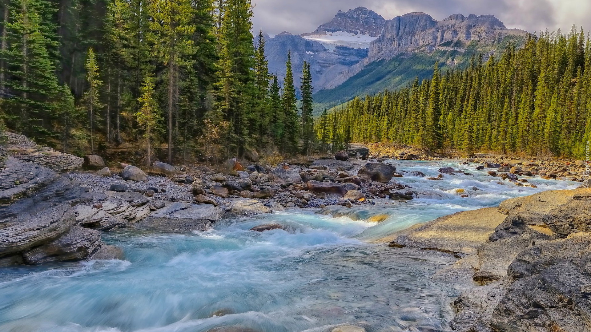 Rzeka, Mistaya River, Skały, Kamienie, Las, Drzewa, Góry, Canadian Rockies, Park Narodowy Banff, Alberta, Kanada