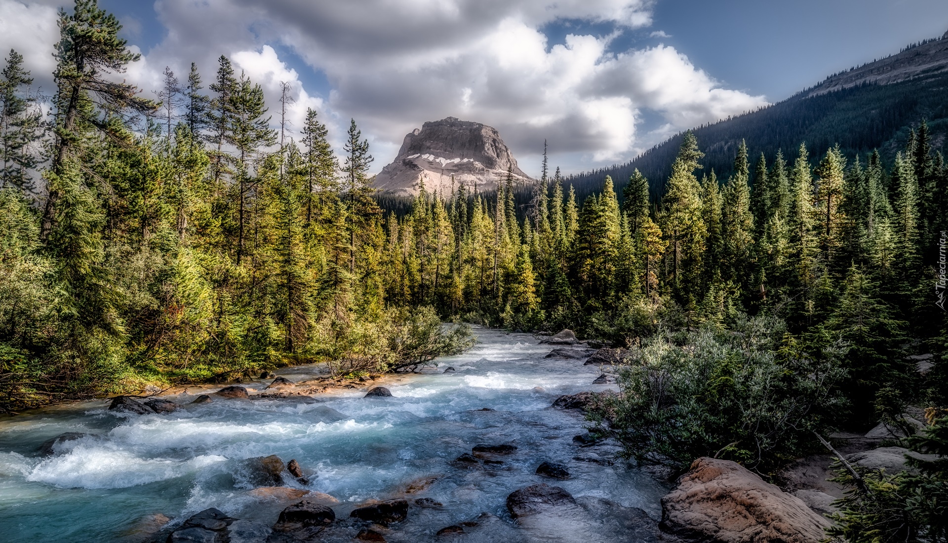 Park Narodowy Yoho, Góry, Wapta Mountain, Rzeka, Drzewa, Chmury, Prowincja Kolumbia Brytyjska, Kanada