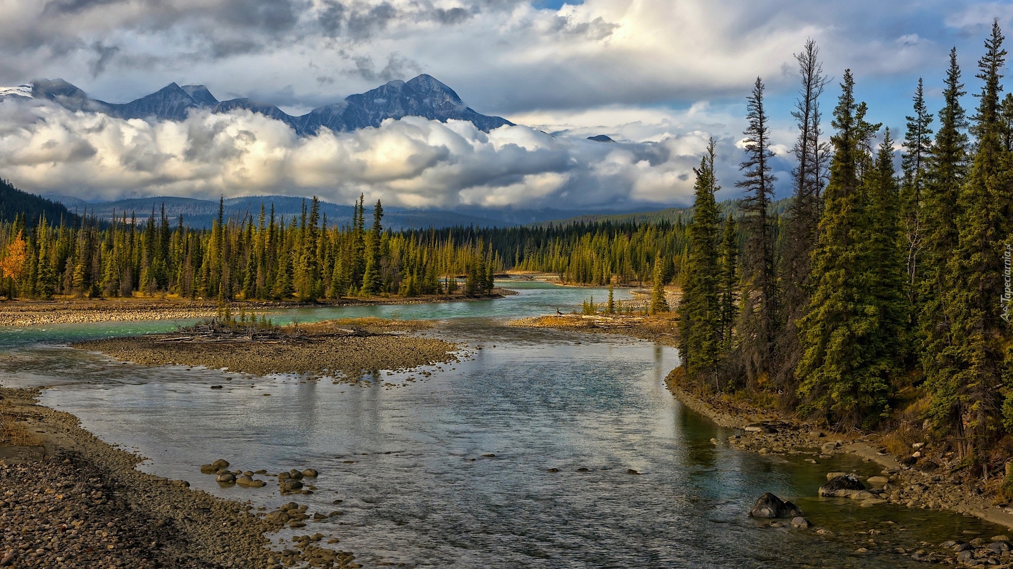 Park Narodowy Jasper, Góry, Drzewa, Las, Rzeka Athabasca, Prowincja Alberta, Kanada