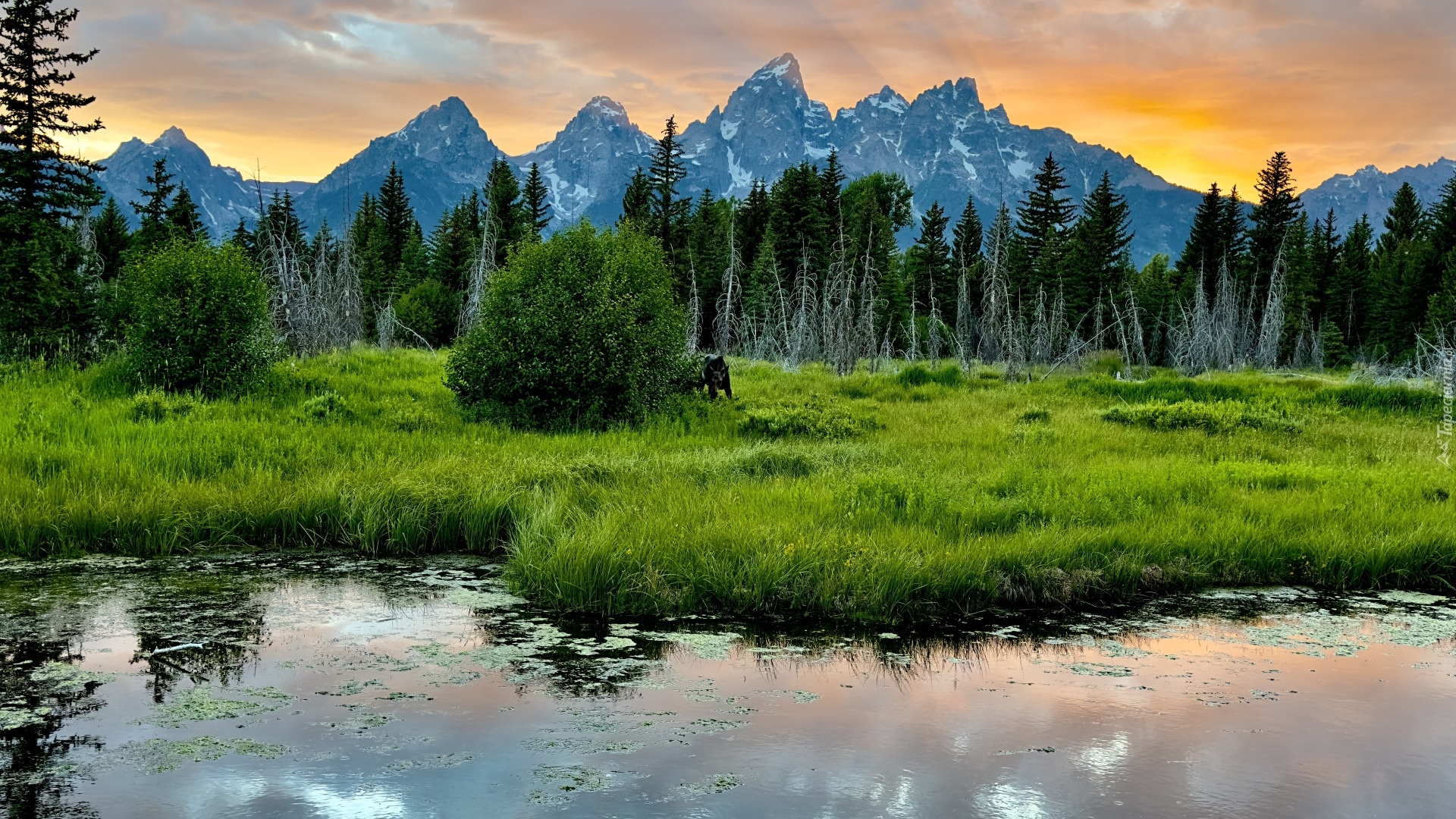 Stany Zjednoczone, Wyoming, Park Narodowy Grand Teton, Góry, Rzeka, Las, Drzewa, Zachód słońca