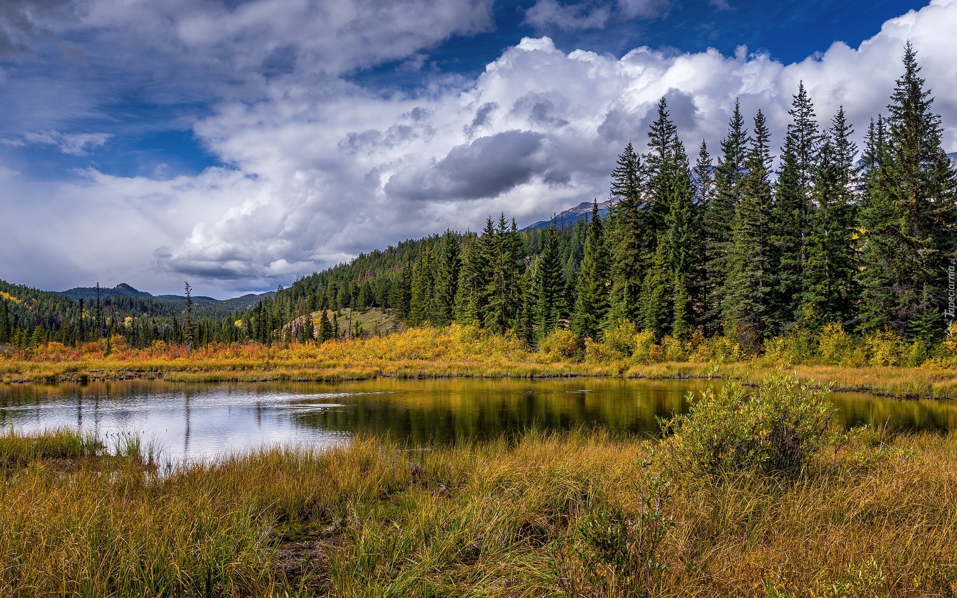 Jezioro, Drzewa, Świerki, Trawa, Szczyty, Góry, Chmury, Park Narodowy Jasper, Alberta, Kanada