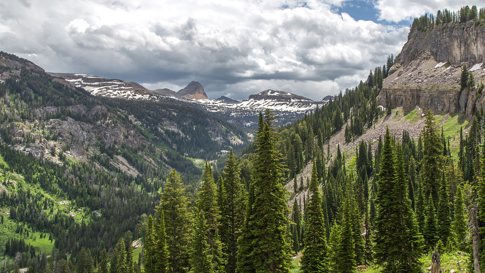 Góry, Las, Caribou-Targhee National Forest, Świerki, Dolina, Chmury, Stany Zjednoczone