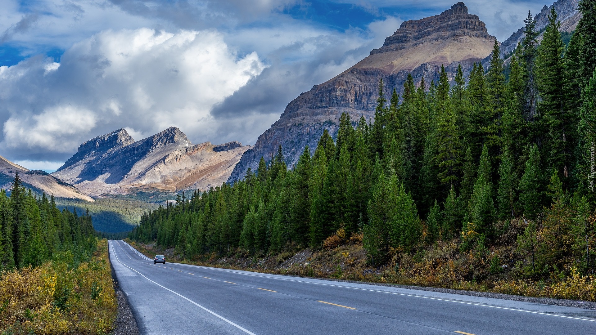Góry Skaliste, Droga, Samochód, Las, Drzewa, Świerki, Prowincja Alberta, Kanada