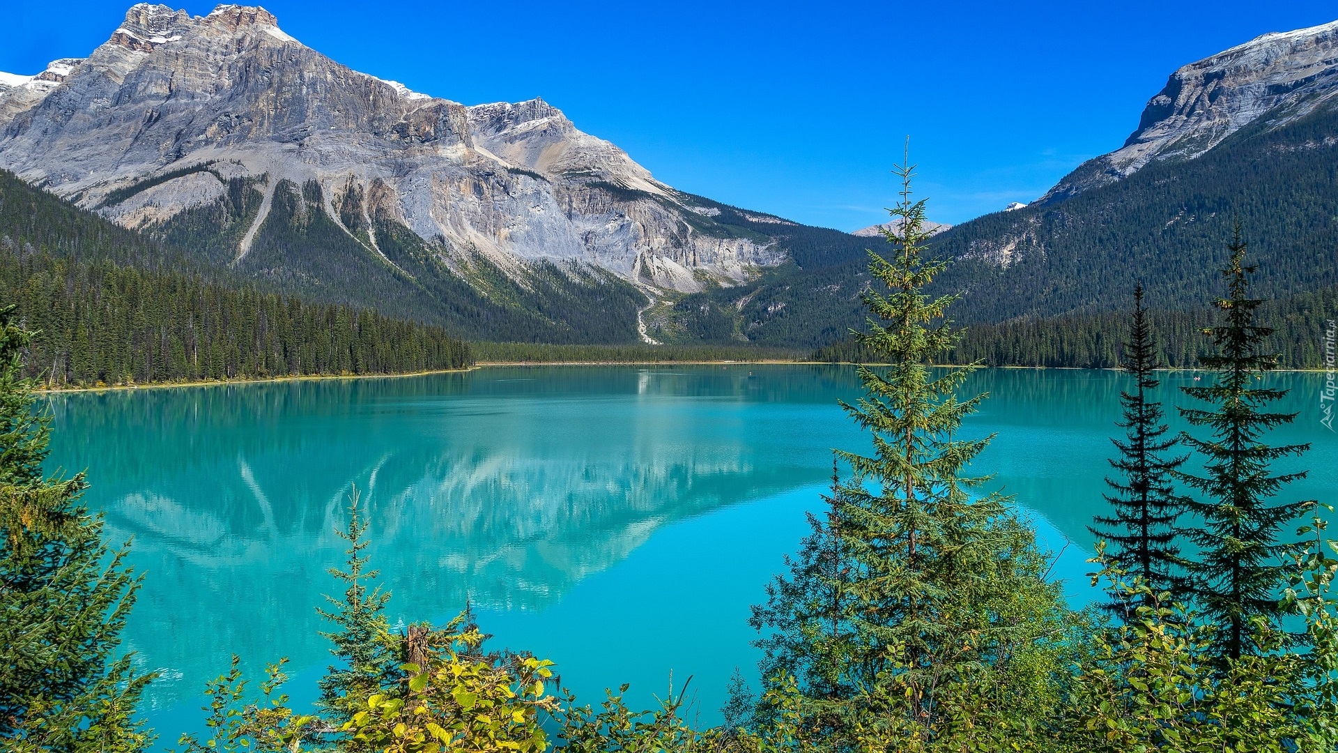 Góry, Jezioro, Emerald Lake, Świerki, Park Narodowy Yoho, Kolumbia Brytyjska, Kanada