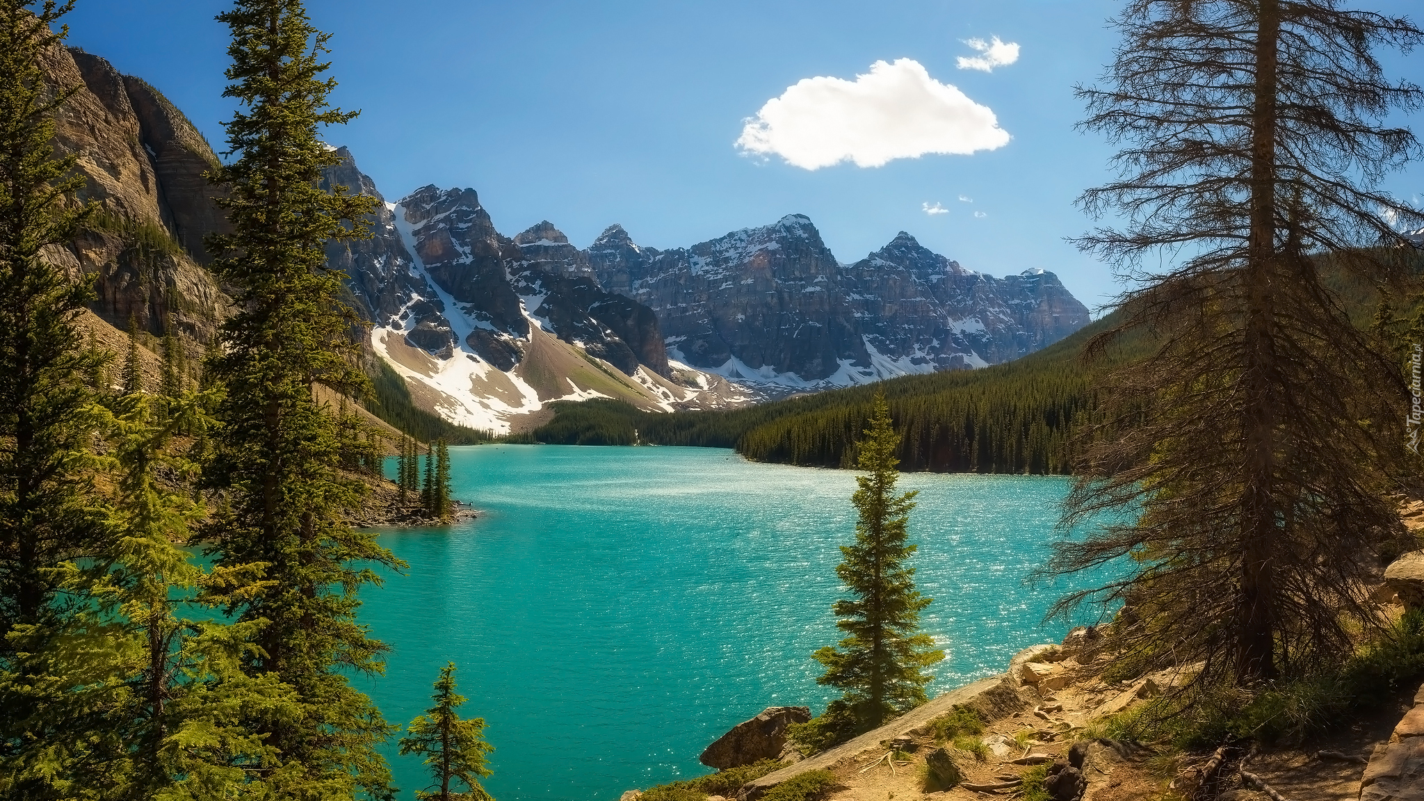 Góry, Drzewa, Jezioro, Moraine Lake, Park Narodowy Banff, Alberta, Kanada