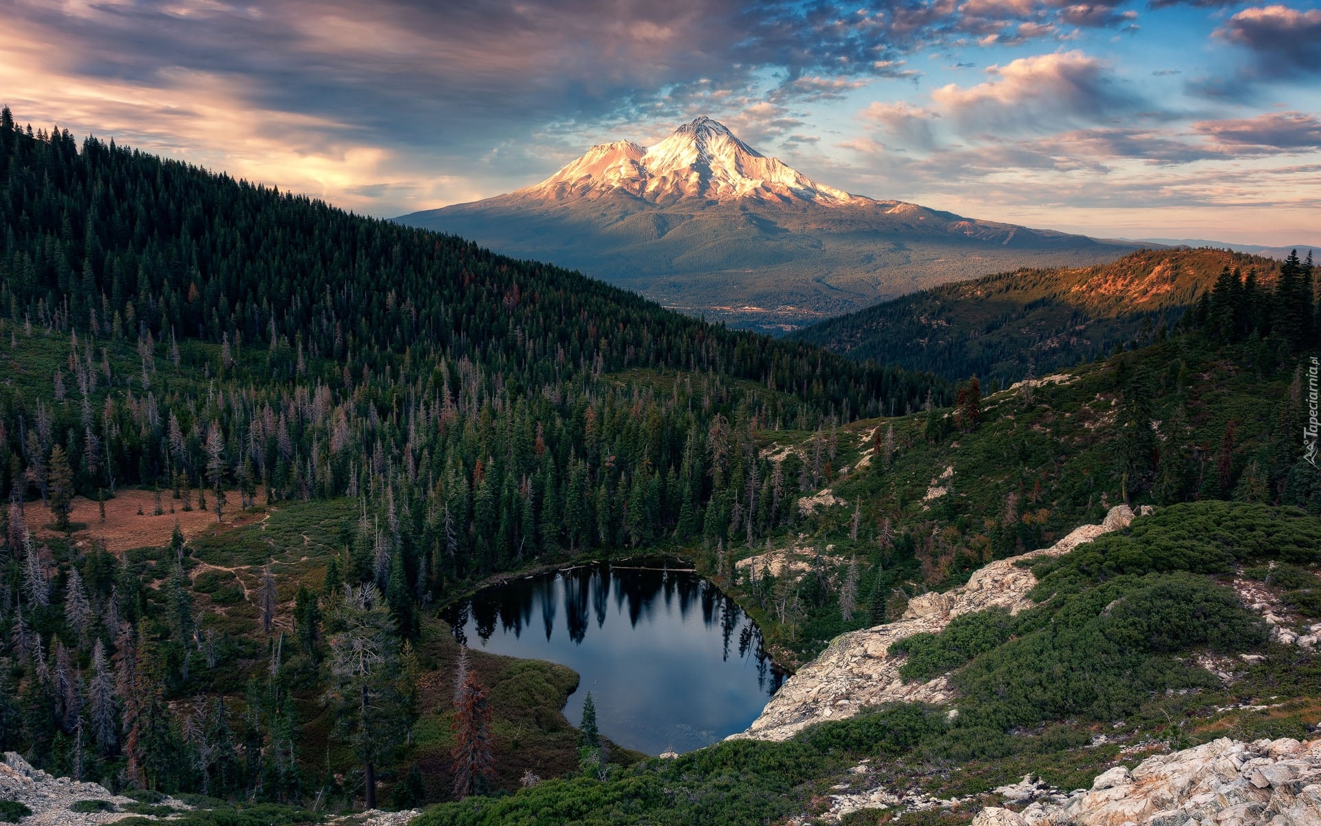 Stratowulkan, Góra, Mount Rainier, Jezioro, Tipsoo Lake, Las, Drzewa, Chmury, Waszyngton, Stany Zjednoczone