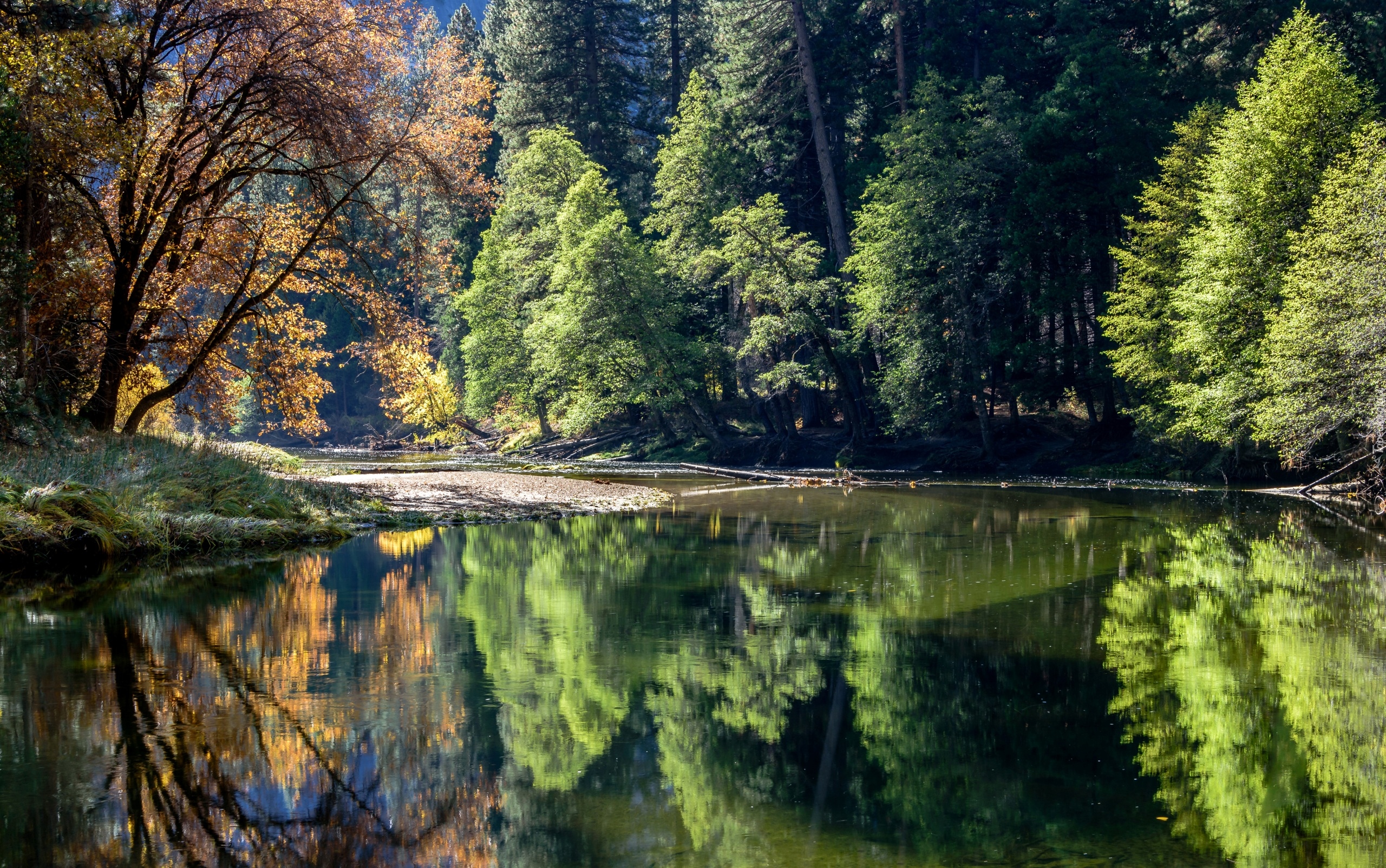 Stany Zjednoczone, Stan Kalifornia, Park Narodowy Yosemite, Rzeka, Las, Odbicie, Drzewa