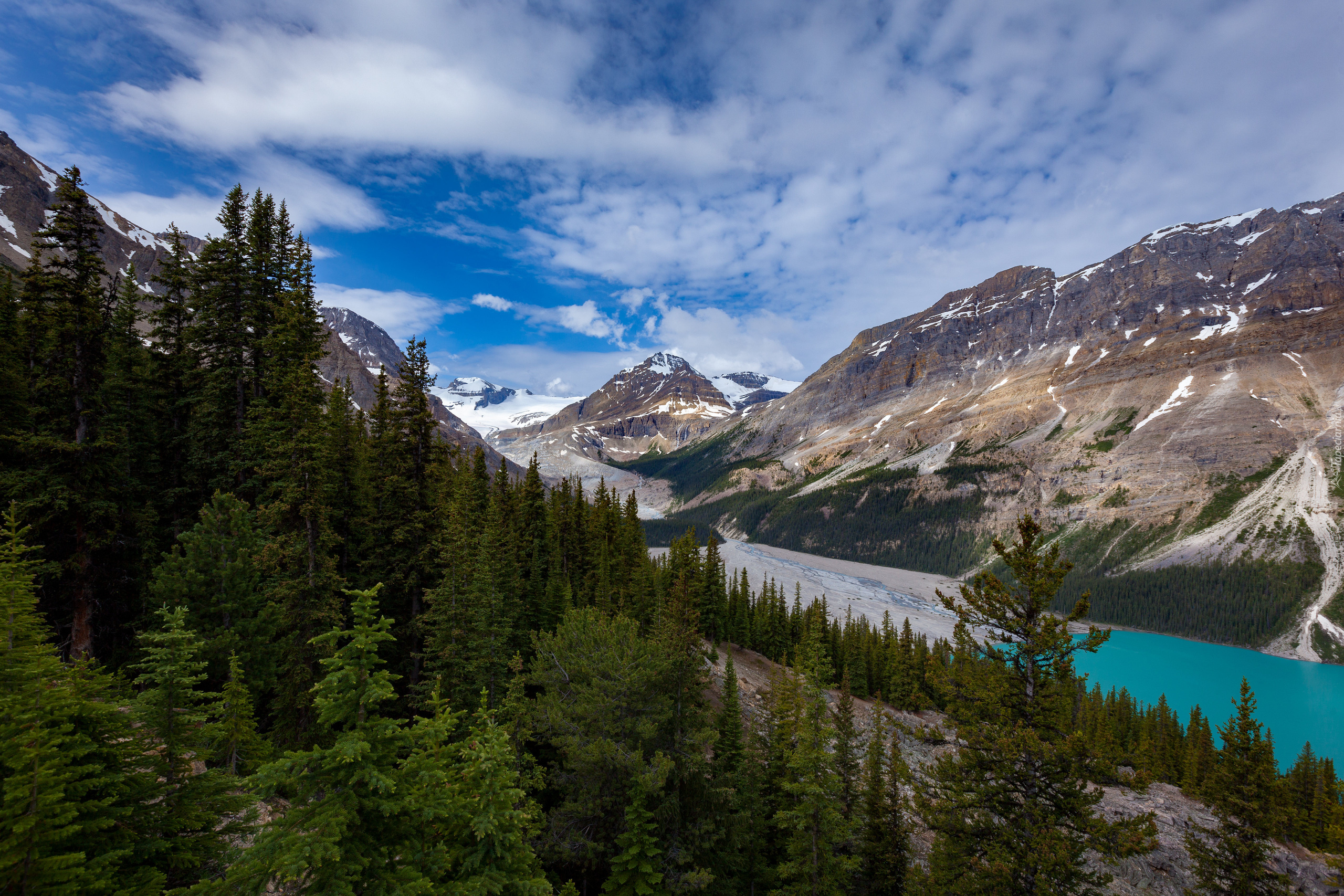 Kanada, Prowincja Alberta, Park Narodowym Banff, Jezioro, Peyto Lake, Góry, Las, Drzewa