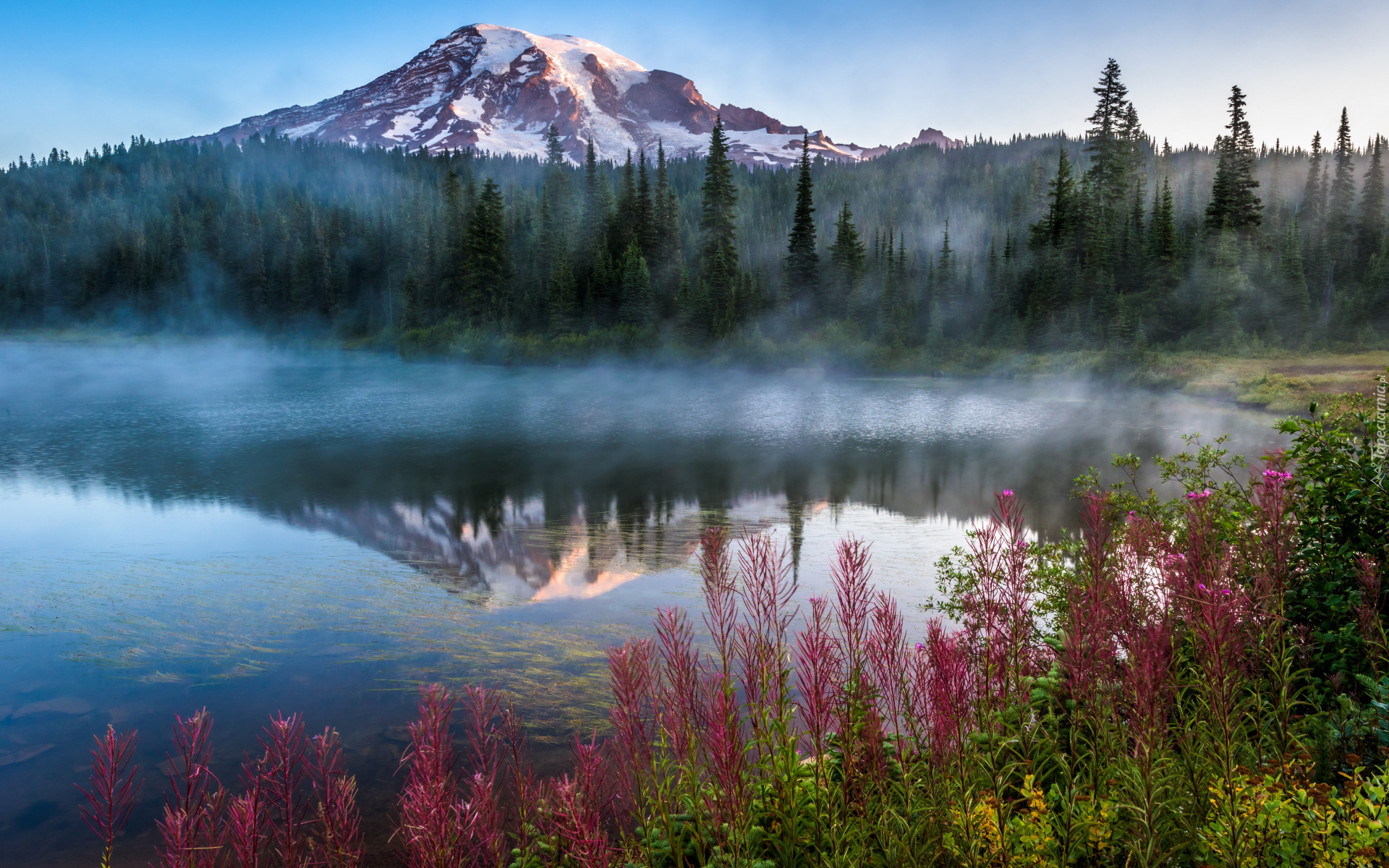 Park Narodowy Mount Rainier, Góry, Stratowulkan Mount Rainier, Mgła, Jezioro, Trawy, Drzewa, Stan Waszyngton, Stany Zjednoczone