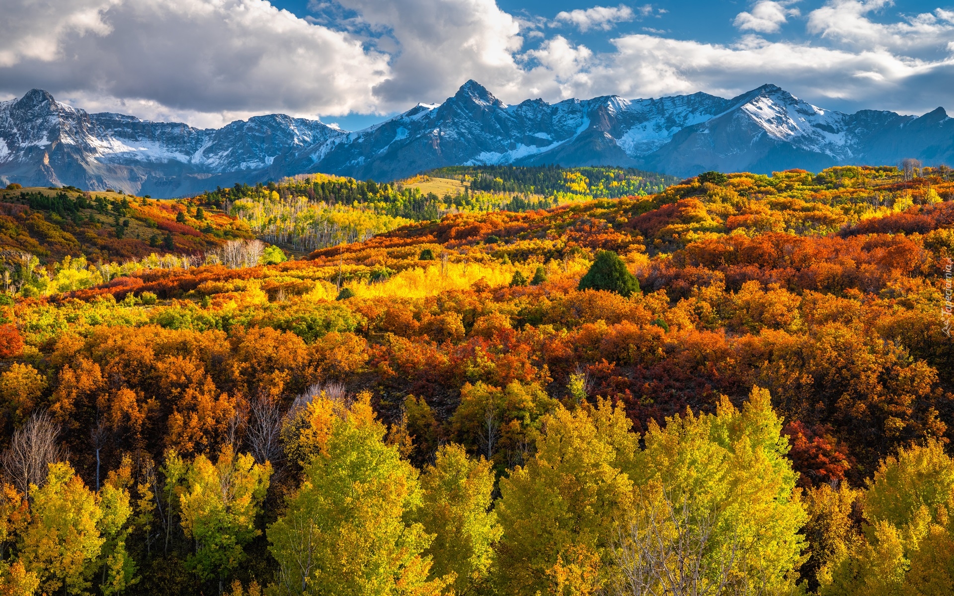Góry, San Juan Mountains, Jesień, Las, Drzewa, Chmury, Kolorado, Stany Zjednoczone